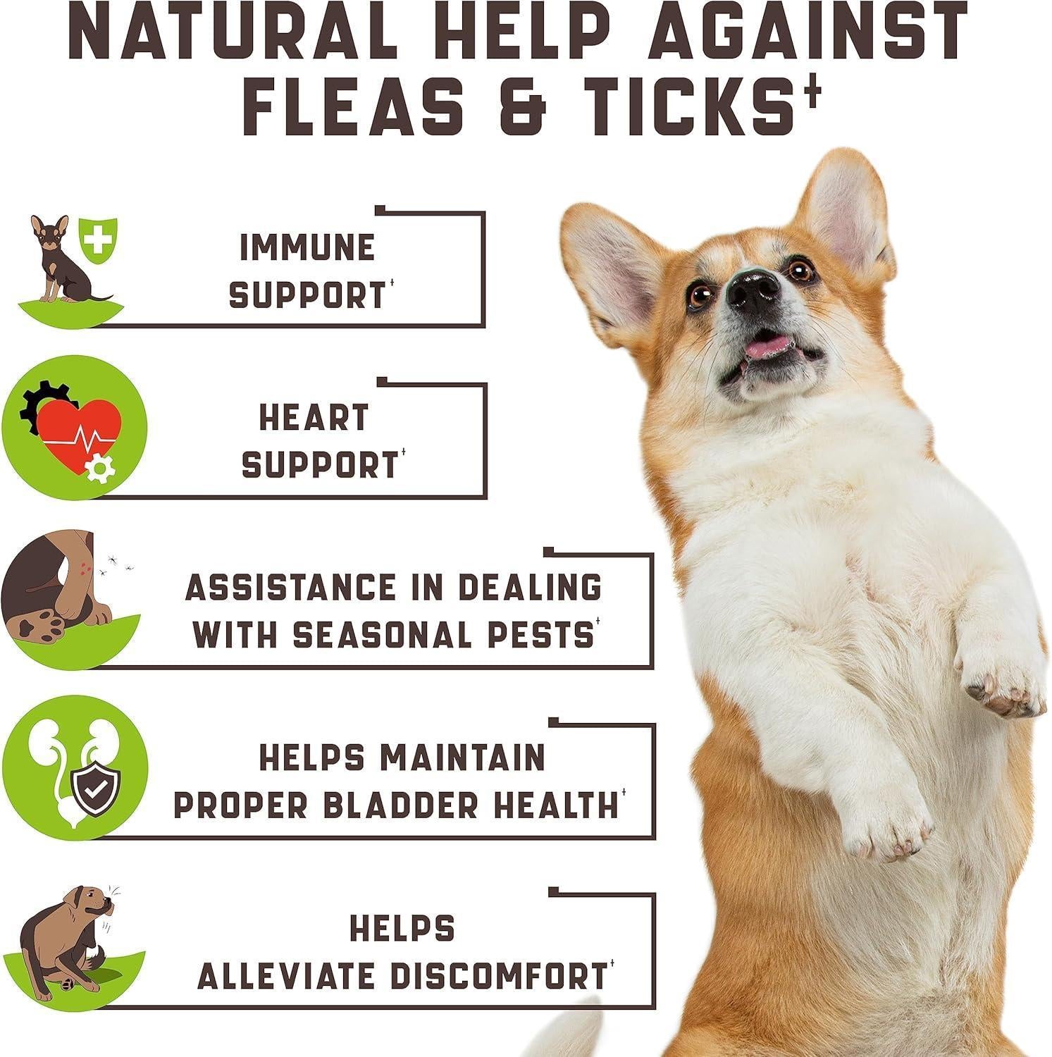 Flea & Tick Chews for Dogs 180 Count Duck Flavor All Breeds & Ages Flea & Tick Chews for Dogs 180 Count Duck Flavor All Breeds & Ages