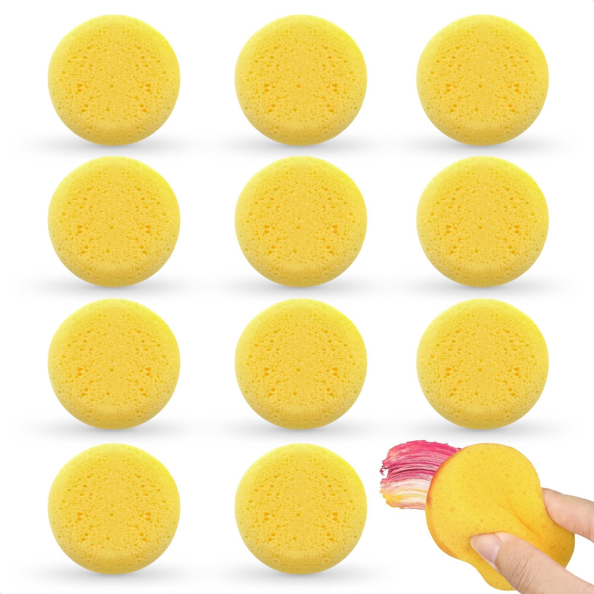 12 Pcs Pottery Sponges for Clay – 2.8 x1 Pottery Sponge for Painting Car Waxing Washing Dishes & Ceramic Care Tack Sponges for Cleaning Leather – Durable Texture for Efficient Sculpting & Cleanup 12 Pcs Pottery Sponges for Clay – 2.8 x1 Pottery Sponge for Painting Car Waxing Washing Dishes & Ceramic Care Tack Sponges for Cleaning Leather – Durable Texture for Efficient Sculpting & Cleanup