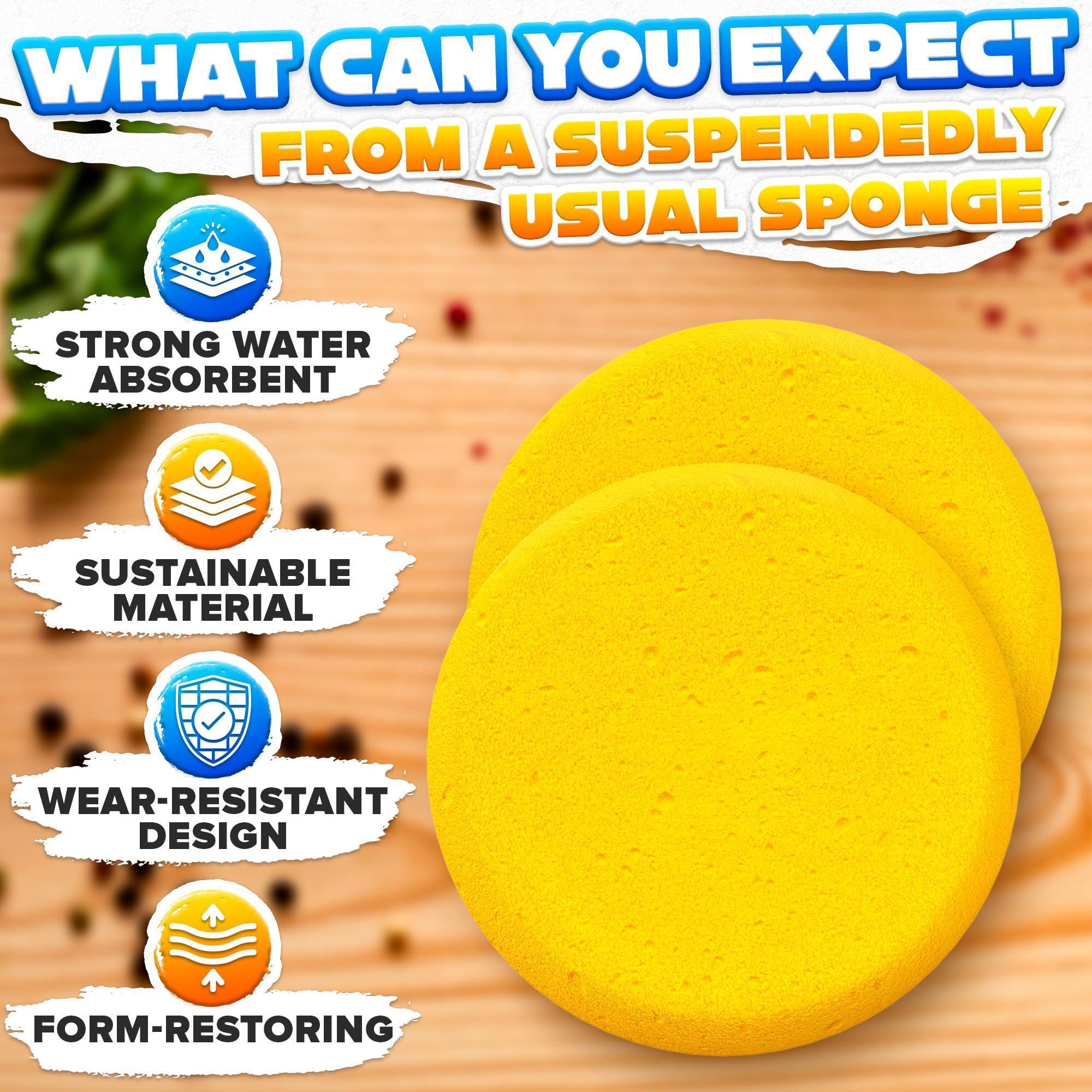 12 Pcs Pottery Sponges for Clay – 2.8 x1 Pottery Sponge for Painting Car Waxing Washing Dishes & Ceramic Care Tack Sponges for Cleaning Leather – Durable Texture for Efficient Sculpting & Cleanup 12 Pcs Pottery Sponges for Clay – 2.8 x1 Pottery Sponge for Painting Car Waxing Washing Dishes & Ceramic Care Tack Sponges for Cleaning Leather – Durable Texture for Efficient Sculpting & Cleanup