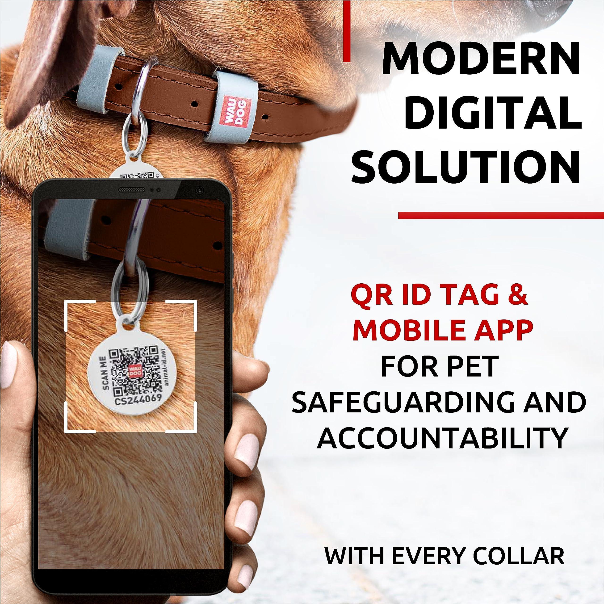 Leather Dog Collar XSmall Dogs 8–11 in Neck x 0.5 in Wide Leather Dog Collar XSmall Dogs 8–11 in Neck x 0.5 in Wide