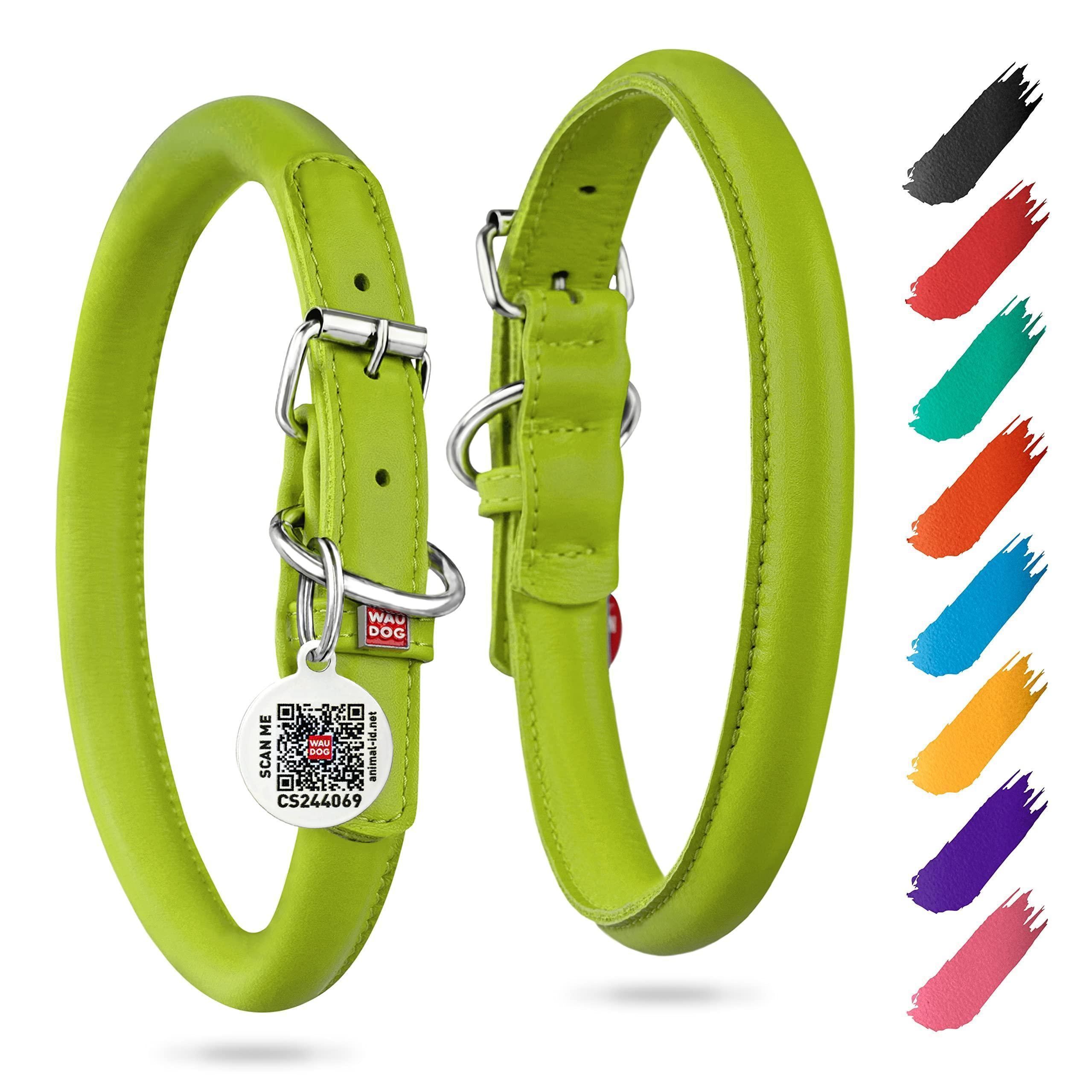 Rolled Leather Dog Collar Padded 8–10 in Neck Green Rolled Leather Dog Collar Padded 8–10 in Neck Green