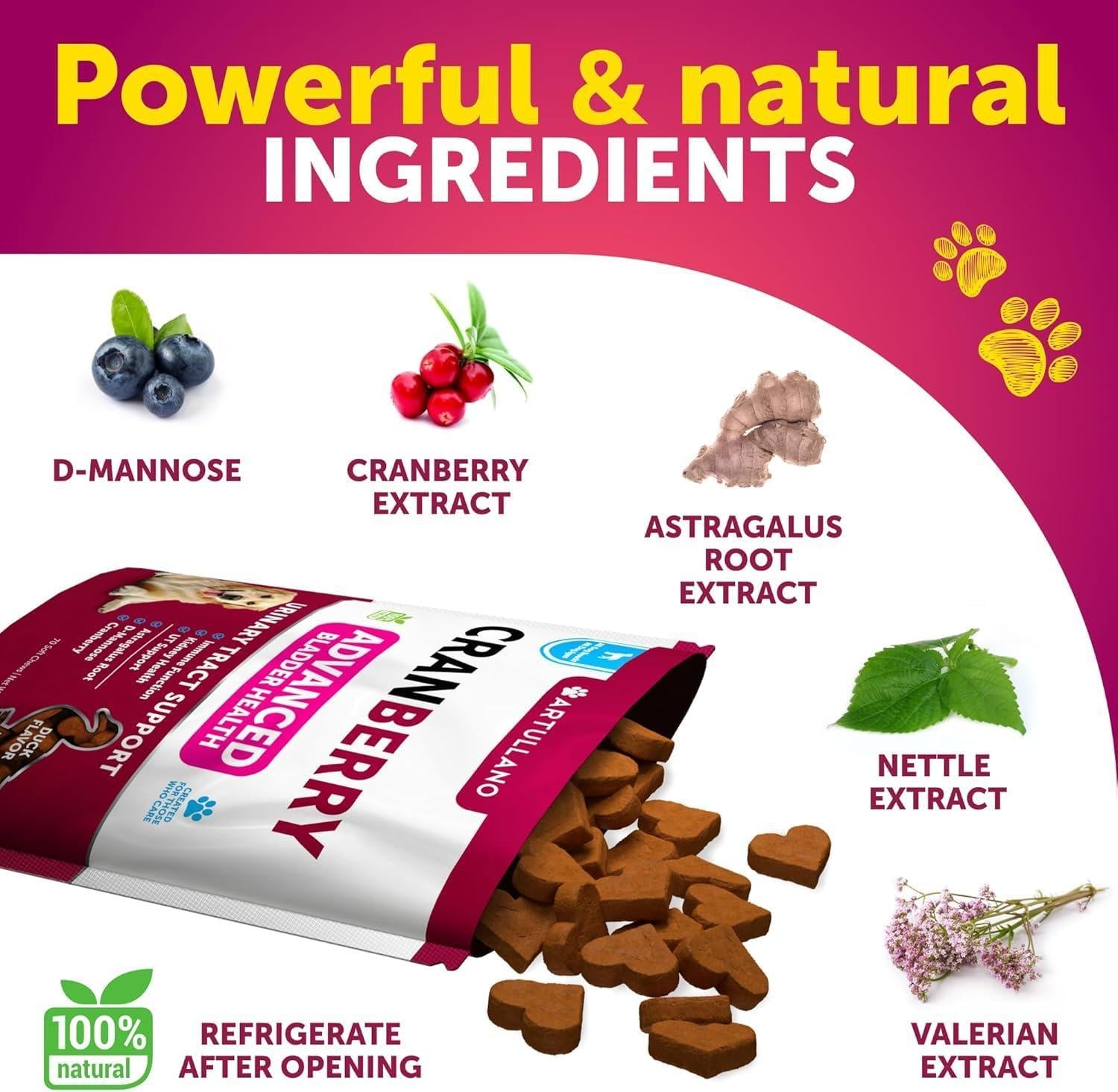 Dog UTI Treatment Cranberry Supplement Bladder Control 70 Soft Chews Dog UTI Treatment Cranberry Supplement Bladder Control 70 Soft Chews