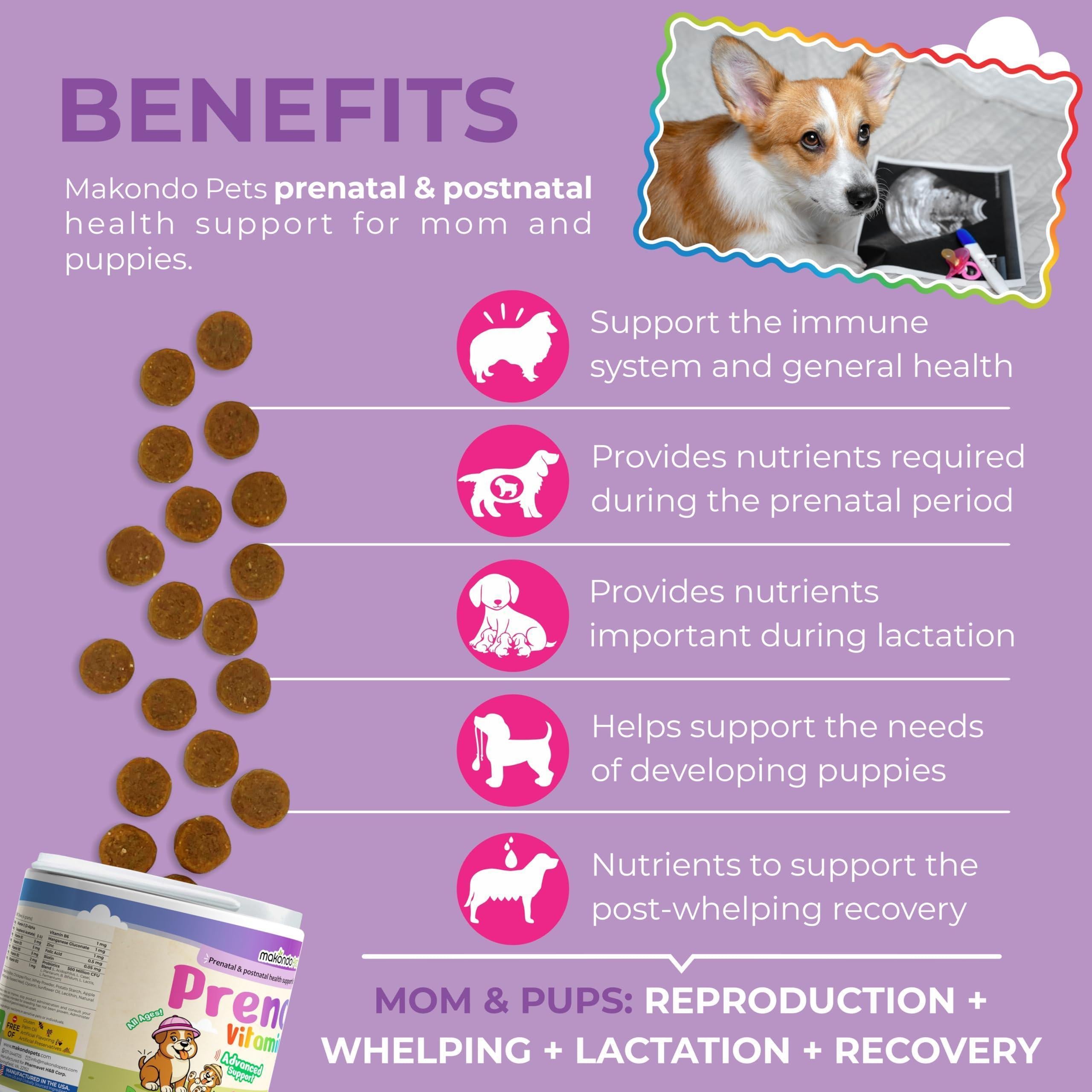 Dog Prenatal Vitamins 120 Soft Chews Folic Acid Zinc B-Complex DHA & EPA Dog Prenatal Vitamins 120 Soft Chews Folic Acid Zinc B-Complex DHA & EPA