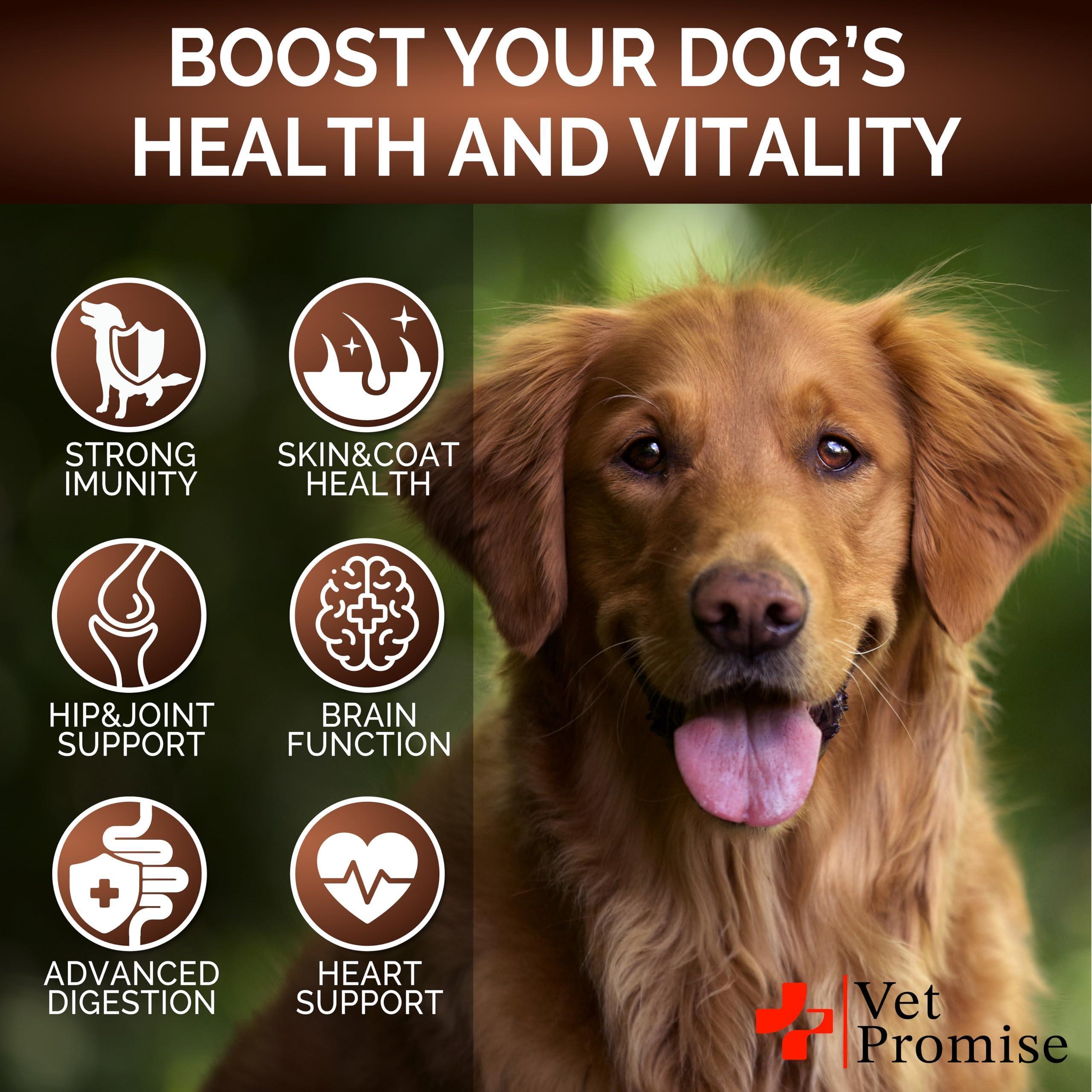 Mushroom Chews for Dogs 340 Count 2-Pack Turkey Tail Lion's Mane & Reishi Mushroom Chews for Dogs 340 Count 2-Pack Turkey Tail Lion's Mane & Reishi