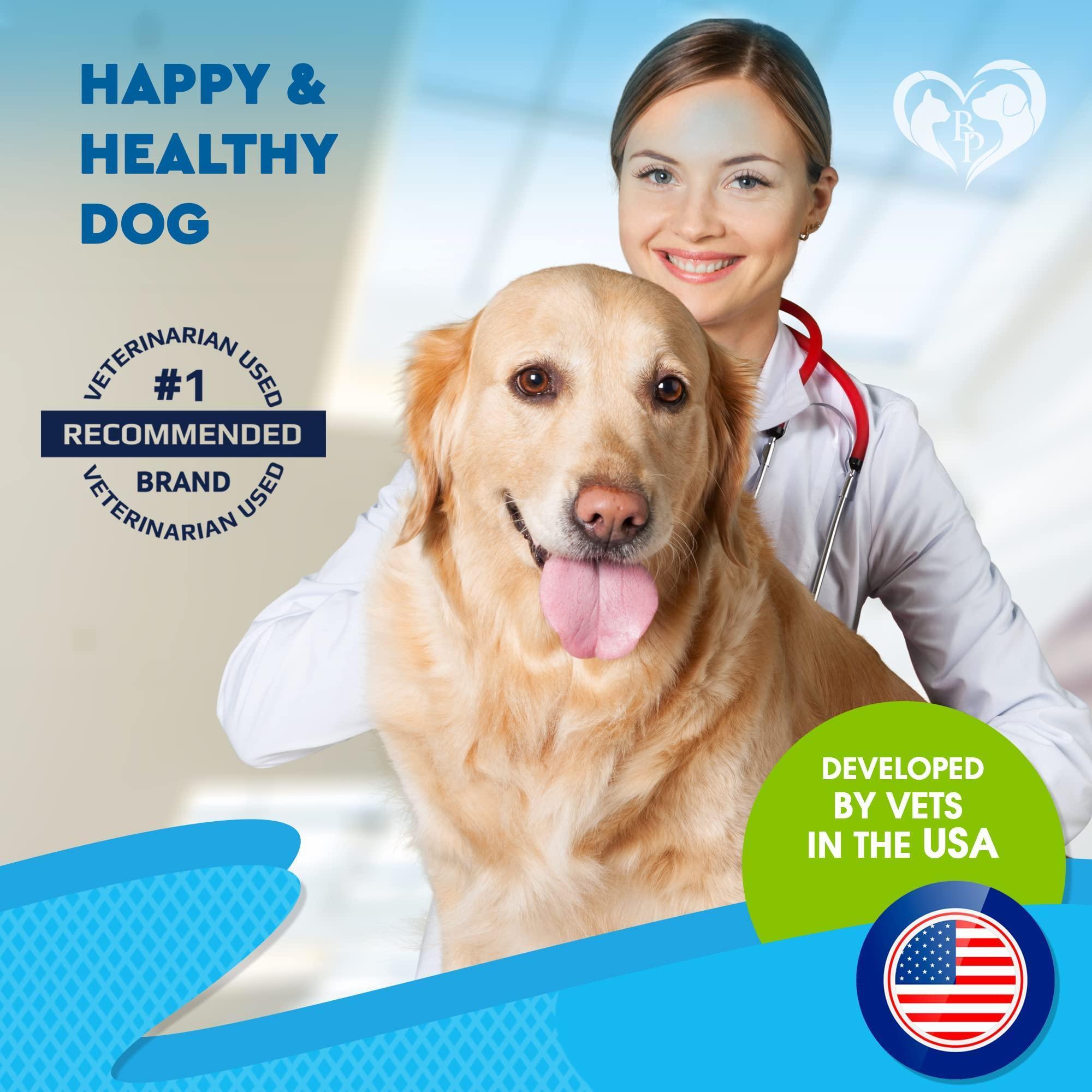 Kennel Cough Supplement for Dogs & Cats Cold & Cough Relief Kennel Cough Supplement for Dogs & Cats Cold & Cough Relief