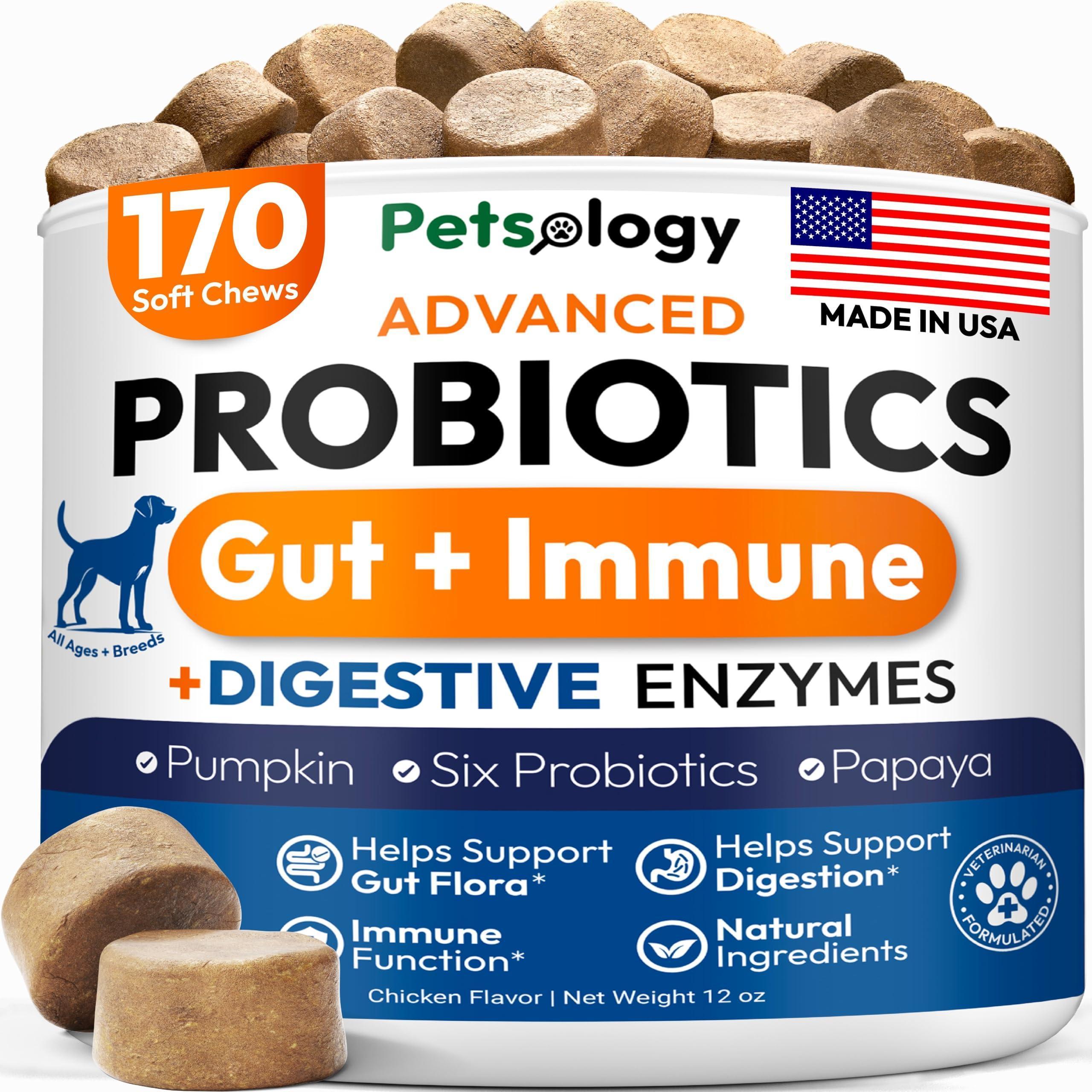 Probiotics for Dogs 170 Chews Digestive Enzymes & Prebiotics Gut Health Probiotics for Dogs 170 Chews Digestive Enzymes & Prebiotics Gut Health