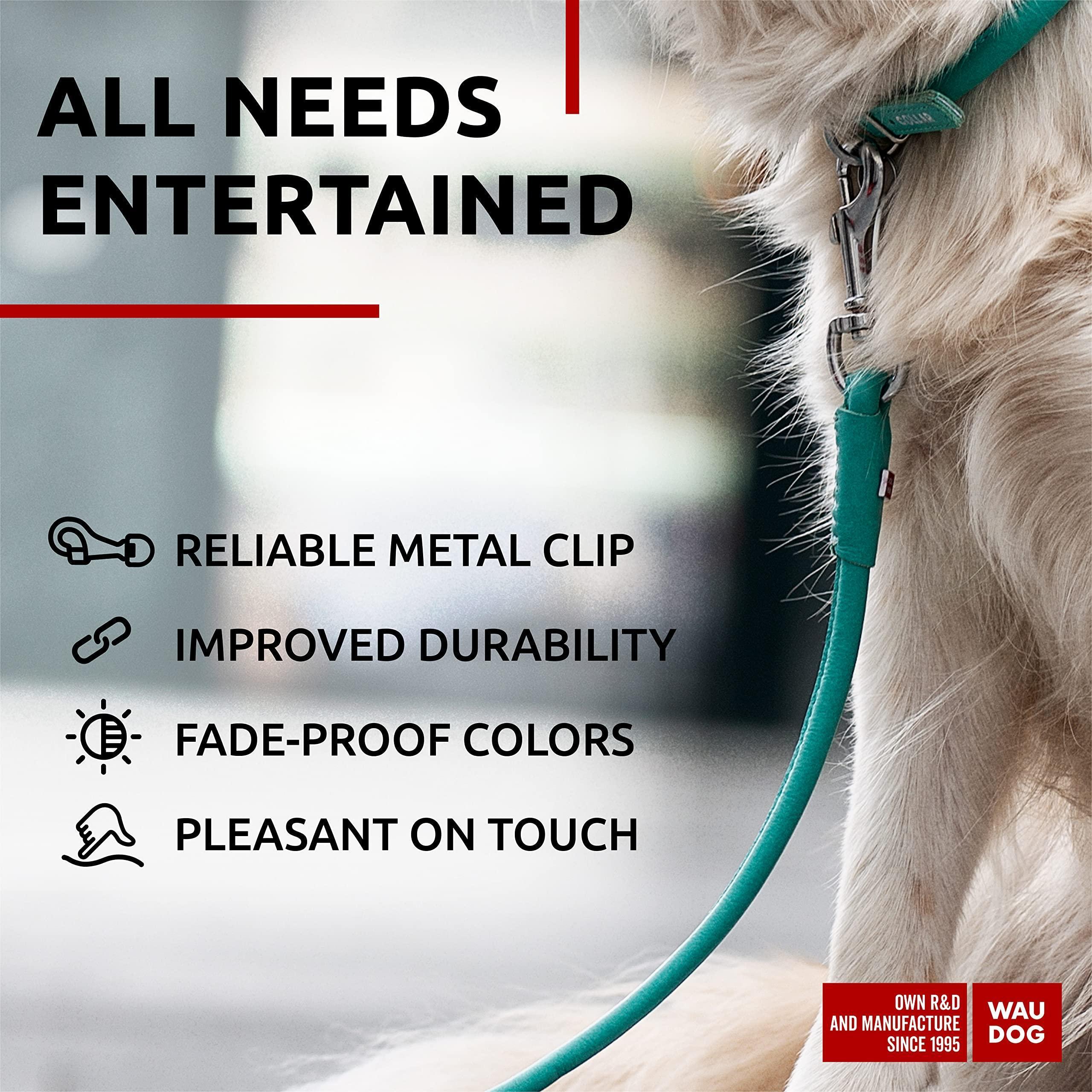 Rolled Leather Dog Leash 4 ft x 0.4 in All Sizes Mint Rolled Leather Dog Leash 4 ft x 0.4 in All Sizes Mint