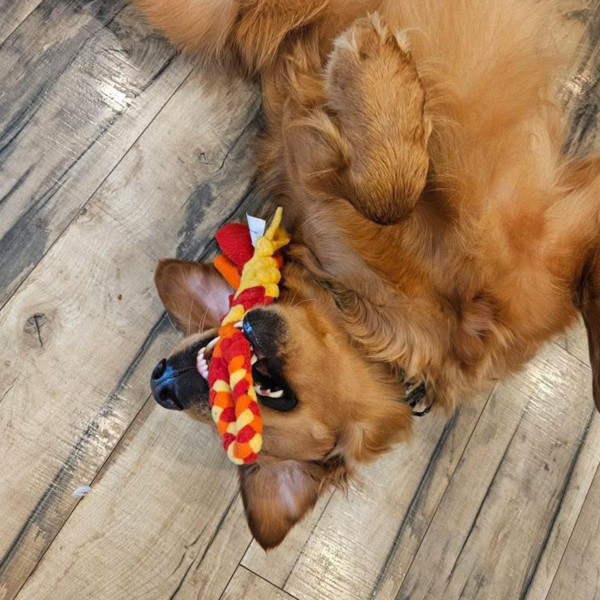 Interactive Tug & Treat-Dispenser Toy for Dogs Teething Relief Orange Interactive Tug & Treat-Dispenser Toy for Dogs Teething Relief Orange