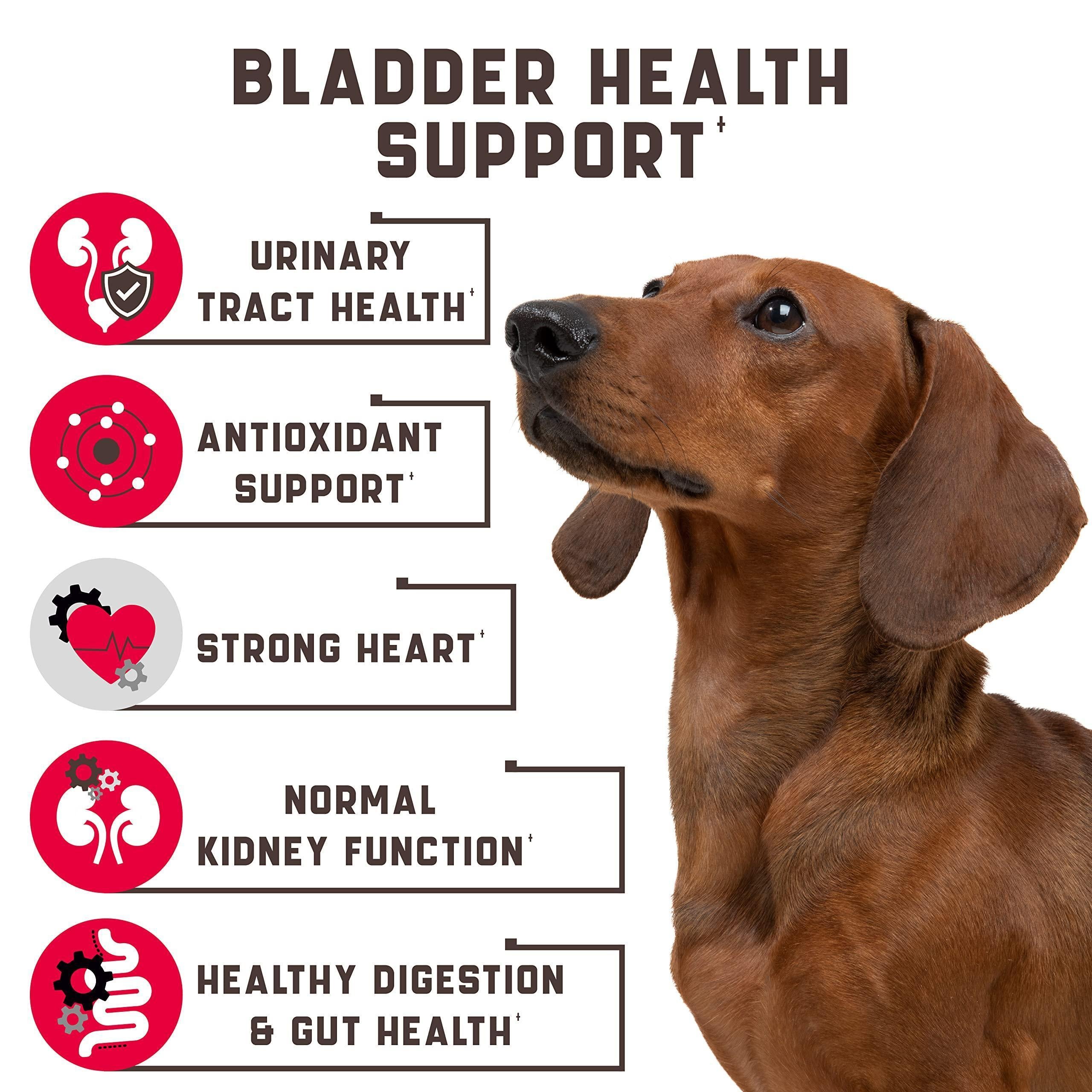 Cranberry Chews for Dogs 180 Count Urinary Tract Support Cranberry Chews for Dogs 180 Count Urinary Tract Support