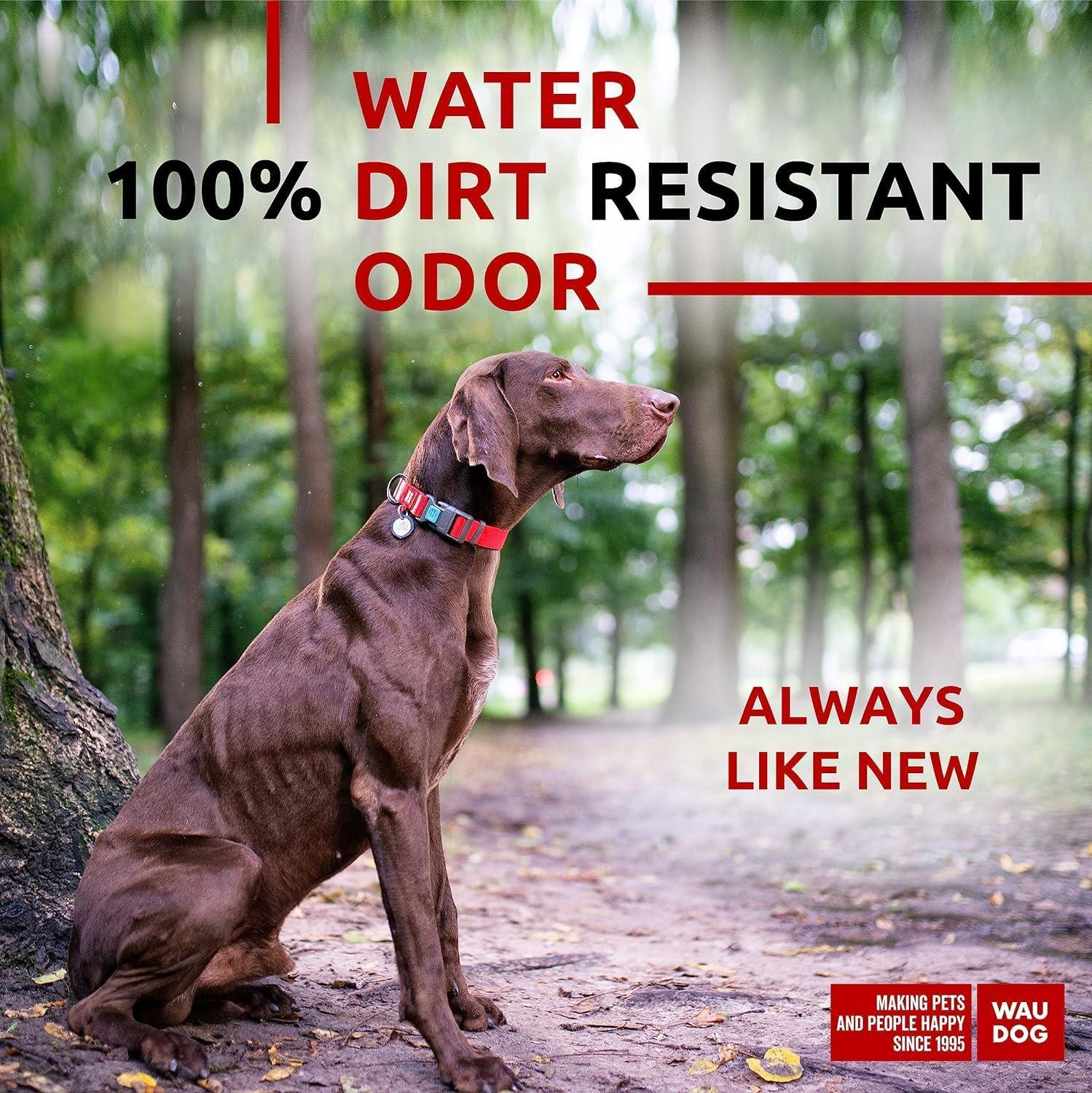 Waterproof Dog Collar Adjustable 17–28 in Neck x 1 3/5 in Wide Buckle & QR Tag Red Waterproof Dog Collar Adjustable 17–28 in Neck x 1 3/5 in Wide Buckle & QR Tag Red