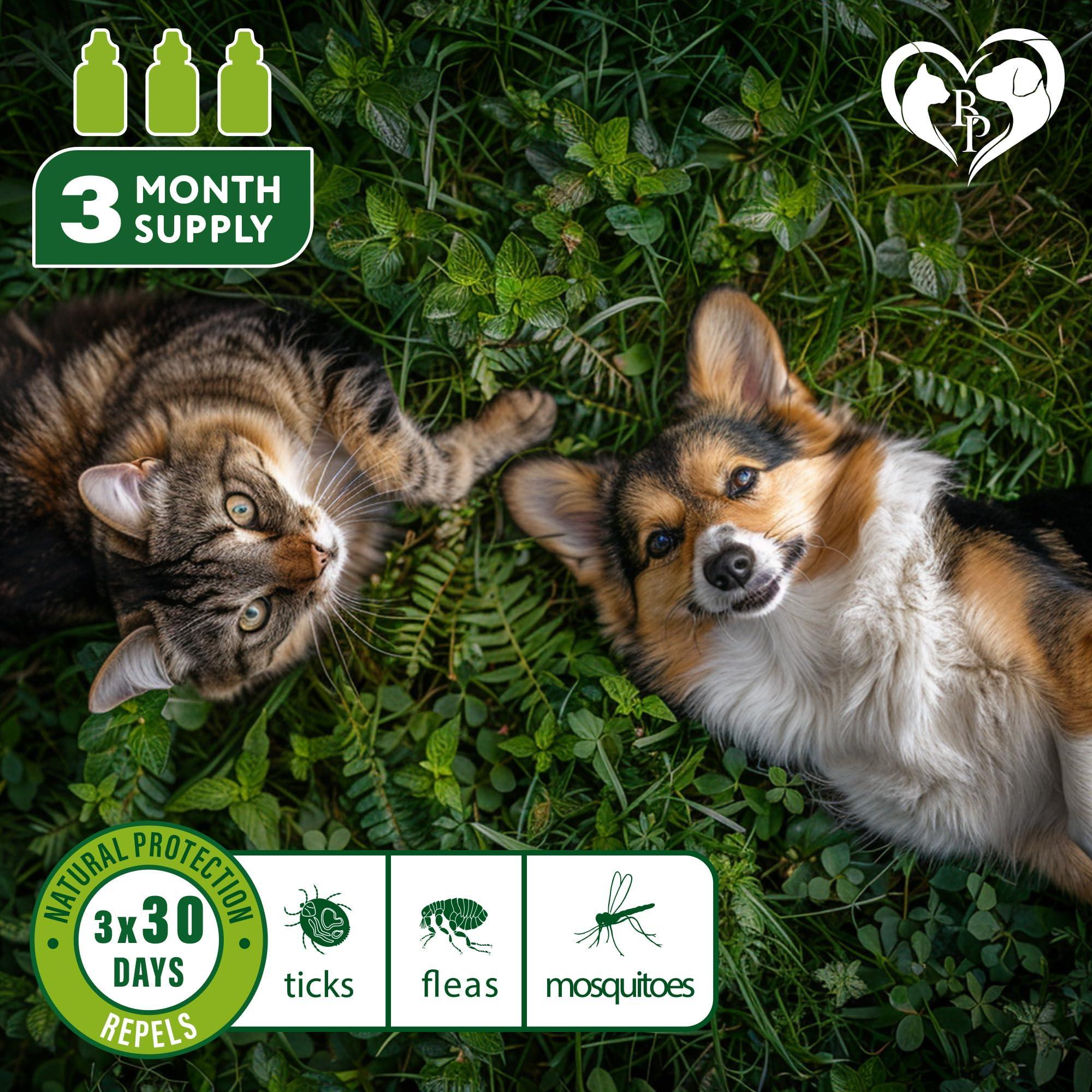 Topical Flea & Tick Drops for Dogs Cats & Rabbits Mosquito Repellent Topical Flea & Tick Drops for Dogs Cats & Rabbits Mosquito Repellent