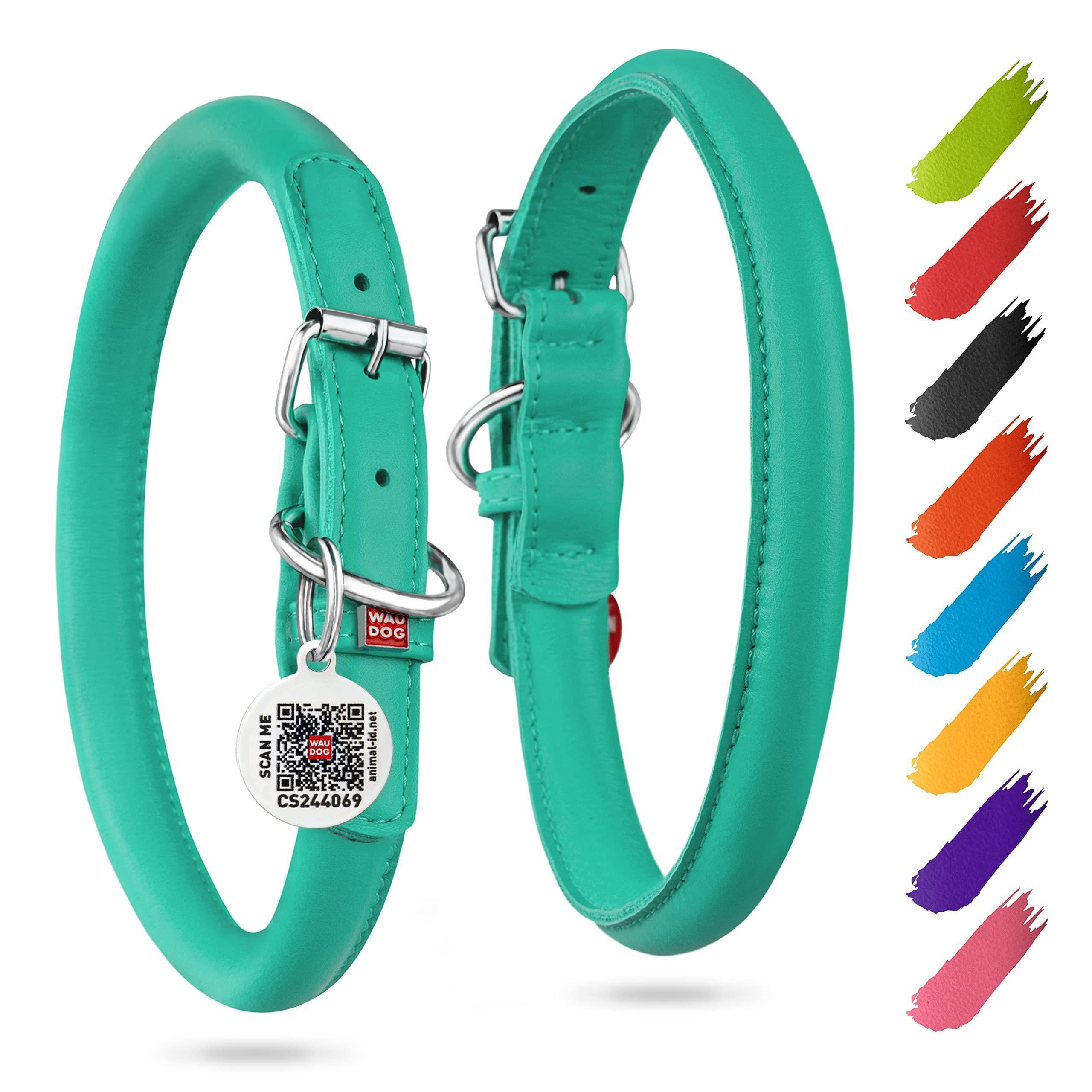 Rolled Leather Dog Collar Padded All Sizes 15-19 in Mint Color Rolled Leather Dog Collar Padded All Sizes 15-19 in Mint Color
