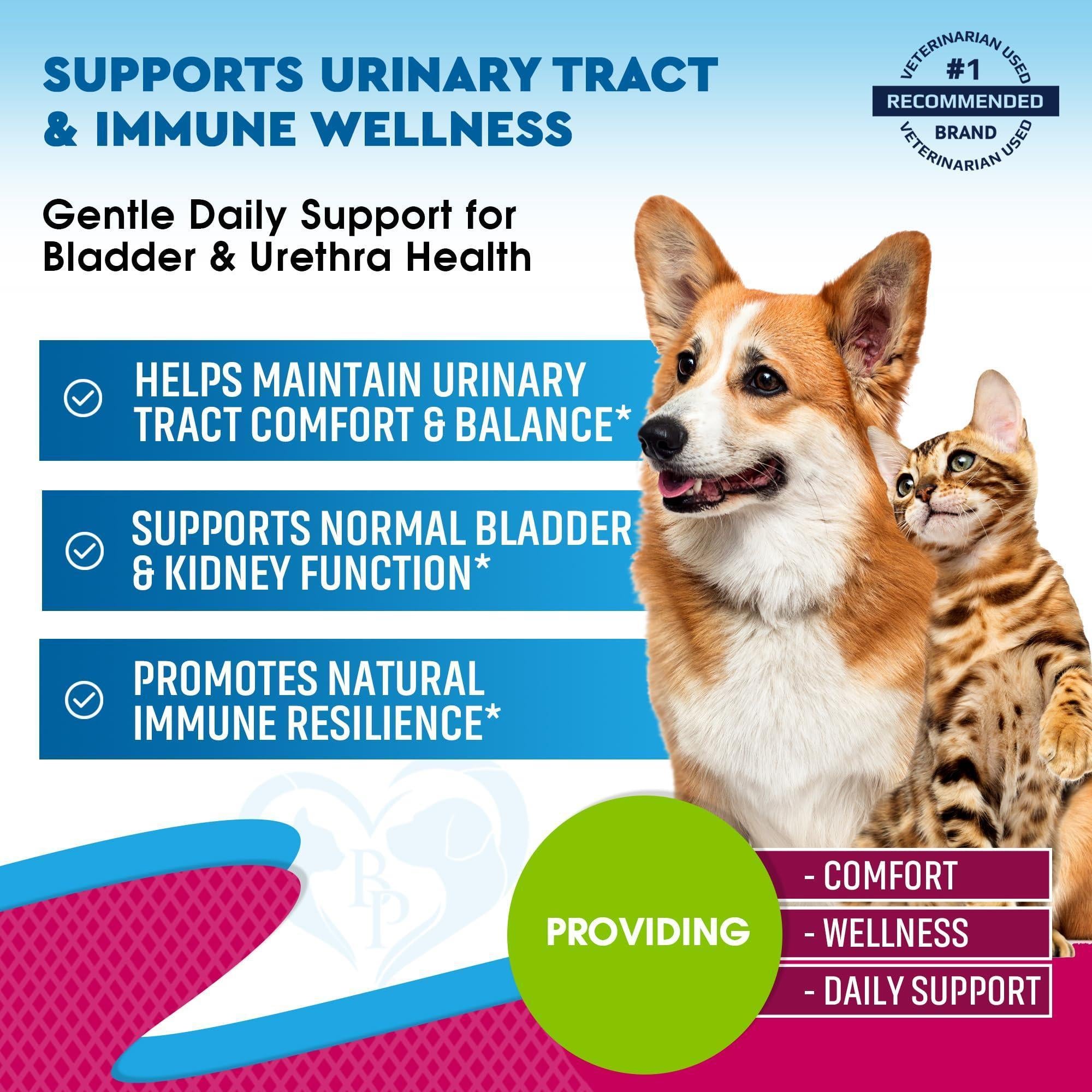 Cat & Dog UTI Treatment Drops 60 ml 2-Pack Cranberry & D-Mannose Bladder Support Cat & Dog UTI Treatment Drops 60 ml 2-Pack Cranberry & D-Mannose Bladder Support