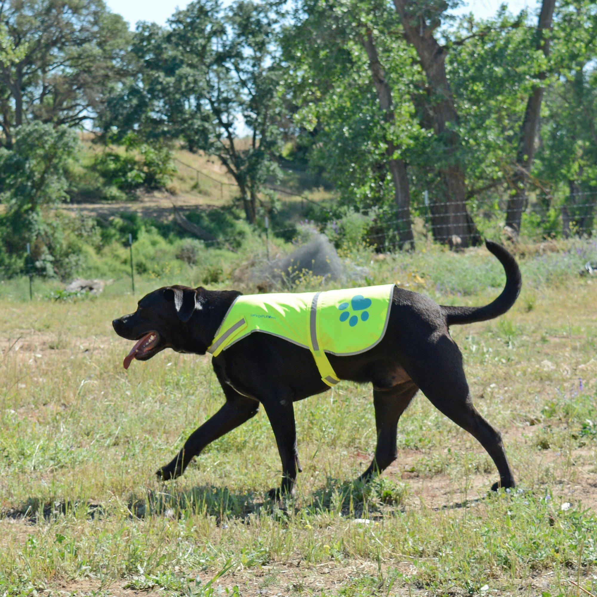 Reflective Dog Safety Vest Hi-Vis XL Size Neon Yellow Reflective Dog Safety Vest Hi-Vis XL Size Neon Yellow