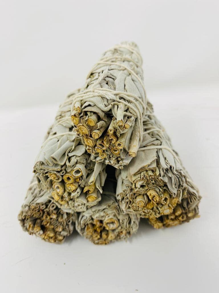 Bholi Sage Plus Sage Smudge Kit Pack of 6 White Sage Smudge Stick 4Inch Long Used for Meditation Smudging Rituals and Cleansing Getting Rid of Negative Energy Sustainably Grown California Sage Bholi Sage Plus Sage Smudge Kit Pack of 6 White Sage Smudge Stick 4Inch Long Used for Meditation Smudging Rituals and Cleansing Getting Rid of Negative Energy Sustainably Grown California Sage