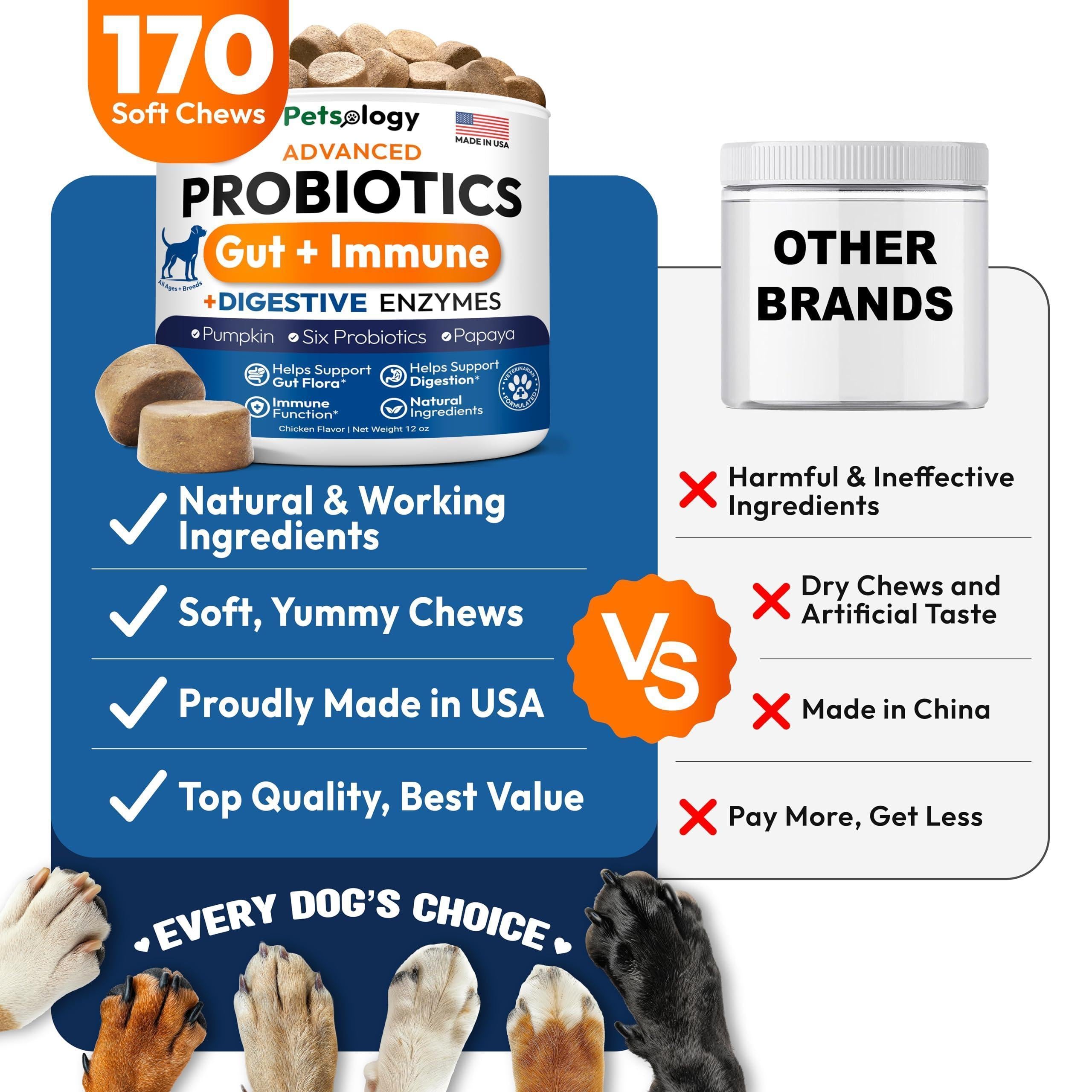 Probiotics for Dogs 170 Chews Digestive Enzymes & Prebiotics Gut Health Probiotics for Dogs 170 Chews Digestive Enzymes & Prebiotics Gut Health