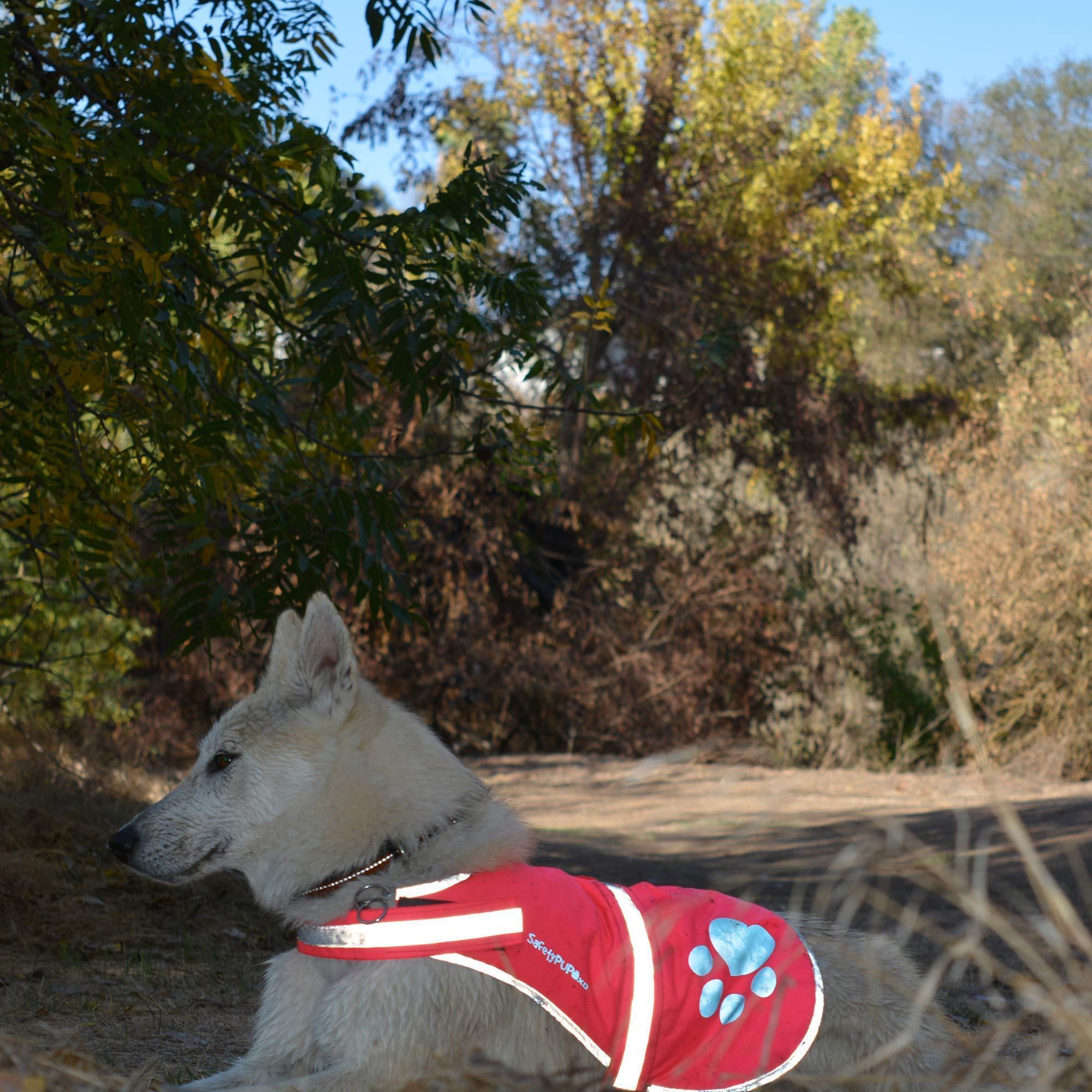 Reflective Dog Vest Hi-Vis Multiple Colors On/Off Leash Reflective Dog Vest Hi-Vis Multiple Colors On/Off Leash