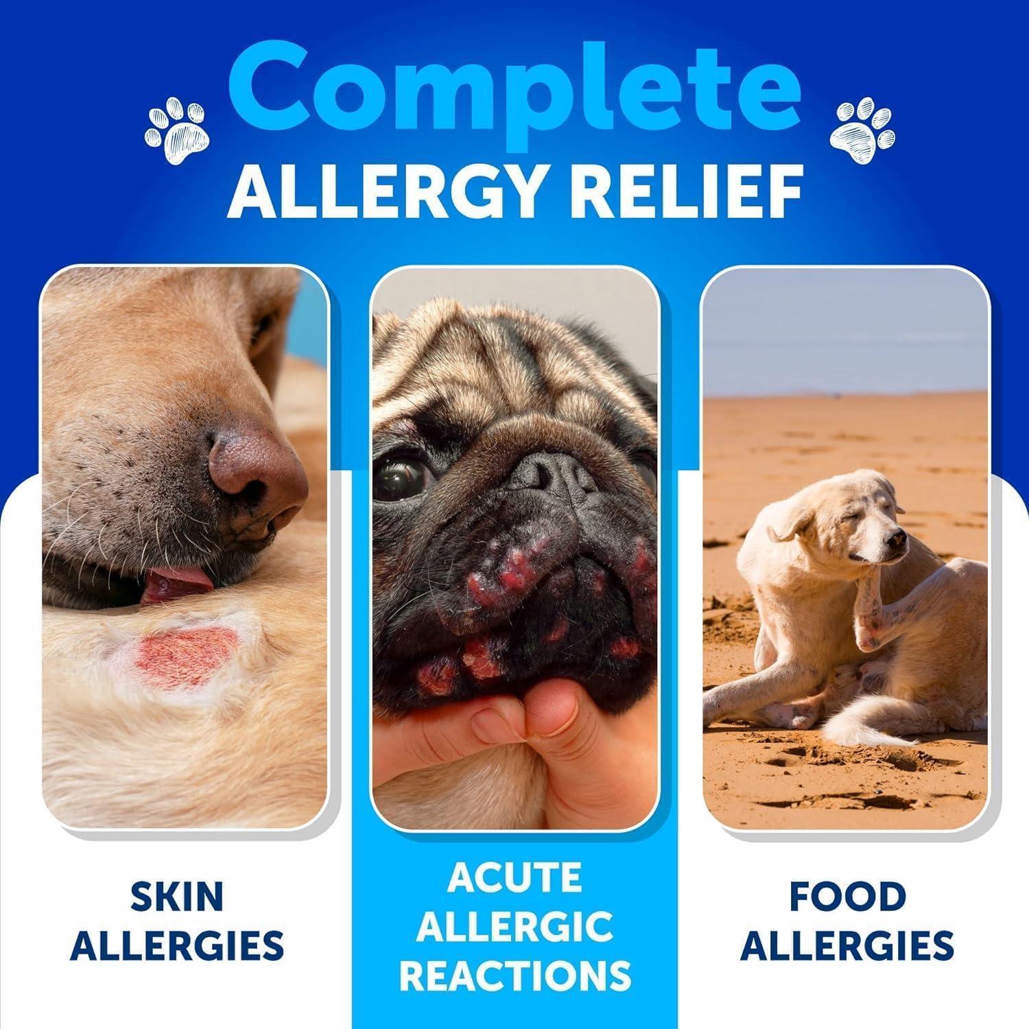Dog Allergy Relief Chews Itchy Skin Relief Omega-3 Fish Oil Dog Allergy Relief Chews Itchy Skin Relief Omega-3 Fish Oil