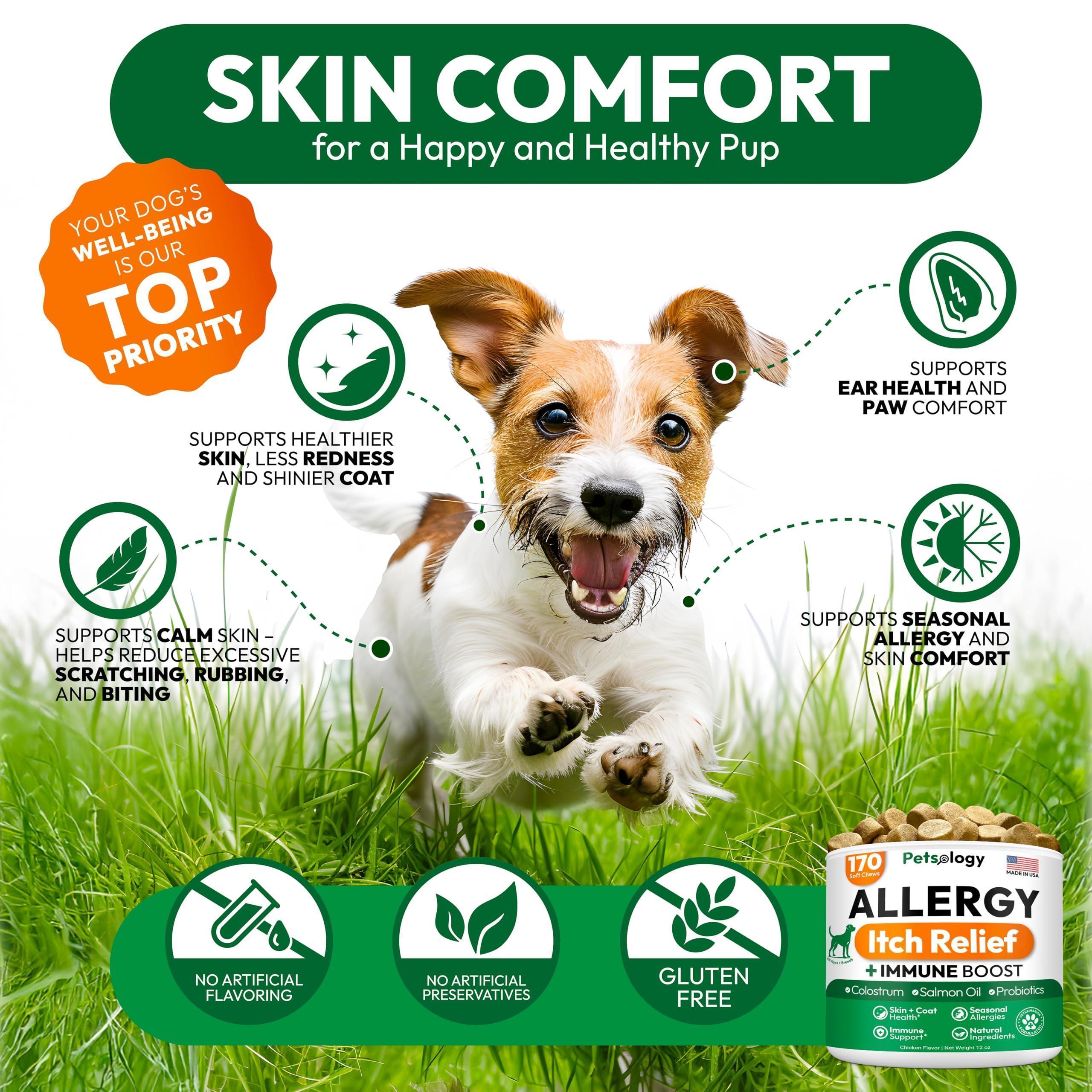 Dog Allergy Relief Chews 170 Count Itch Relief Omega-3 Fish Oil Dog Allergy Relief Chews 170 Count Itch Relief Omega-3 Fish Oil