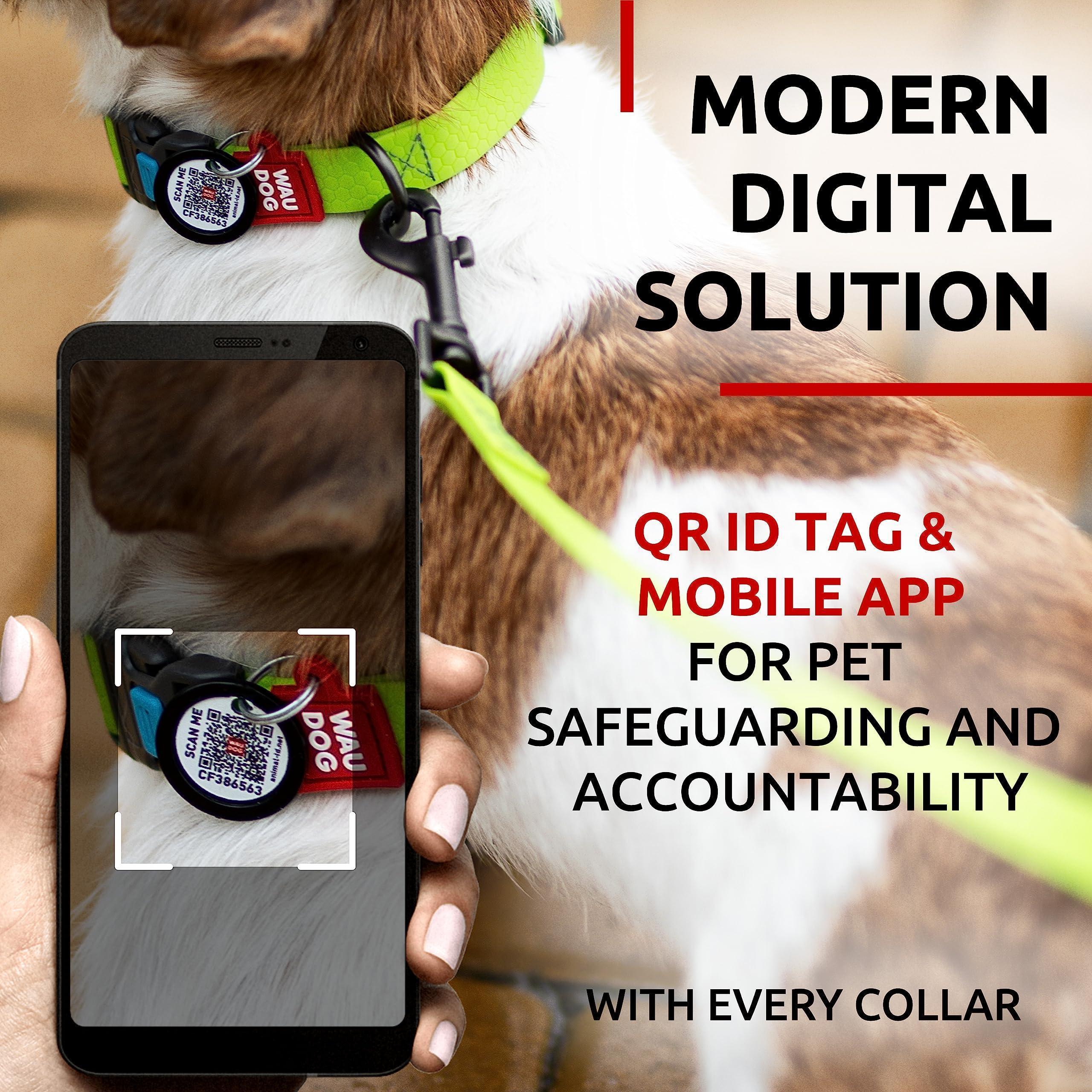 Waterproof Dog Collar Adjustable 9–14 in Neck x 3/5 in Wide Green Waterproof Dog Collar Adjustable 9–14 in Neck x 3/5 in Wide Green