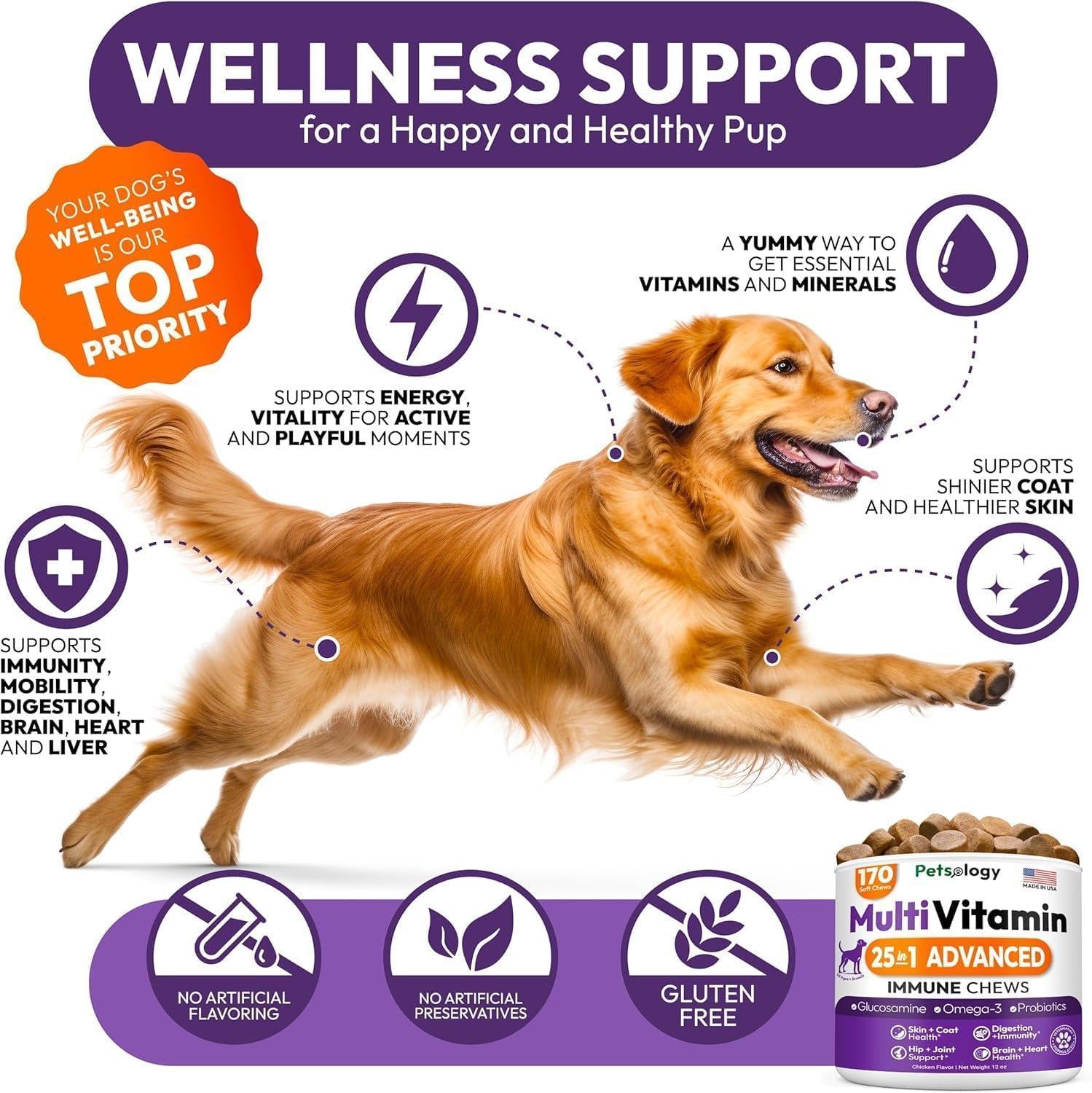 Multivitamin Chews for Dogs 2-Pack Multivitamin Chews for Dogs 2-Pack