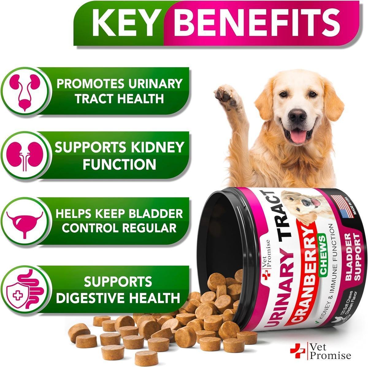 Dog UTI Treatment 120 Chews Cranberry Supplement Bladder Control Dog UTI Treatment 120 Chews Cranberry Supplement Bladder Control