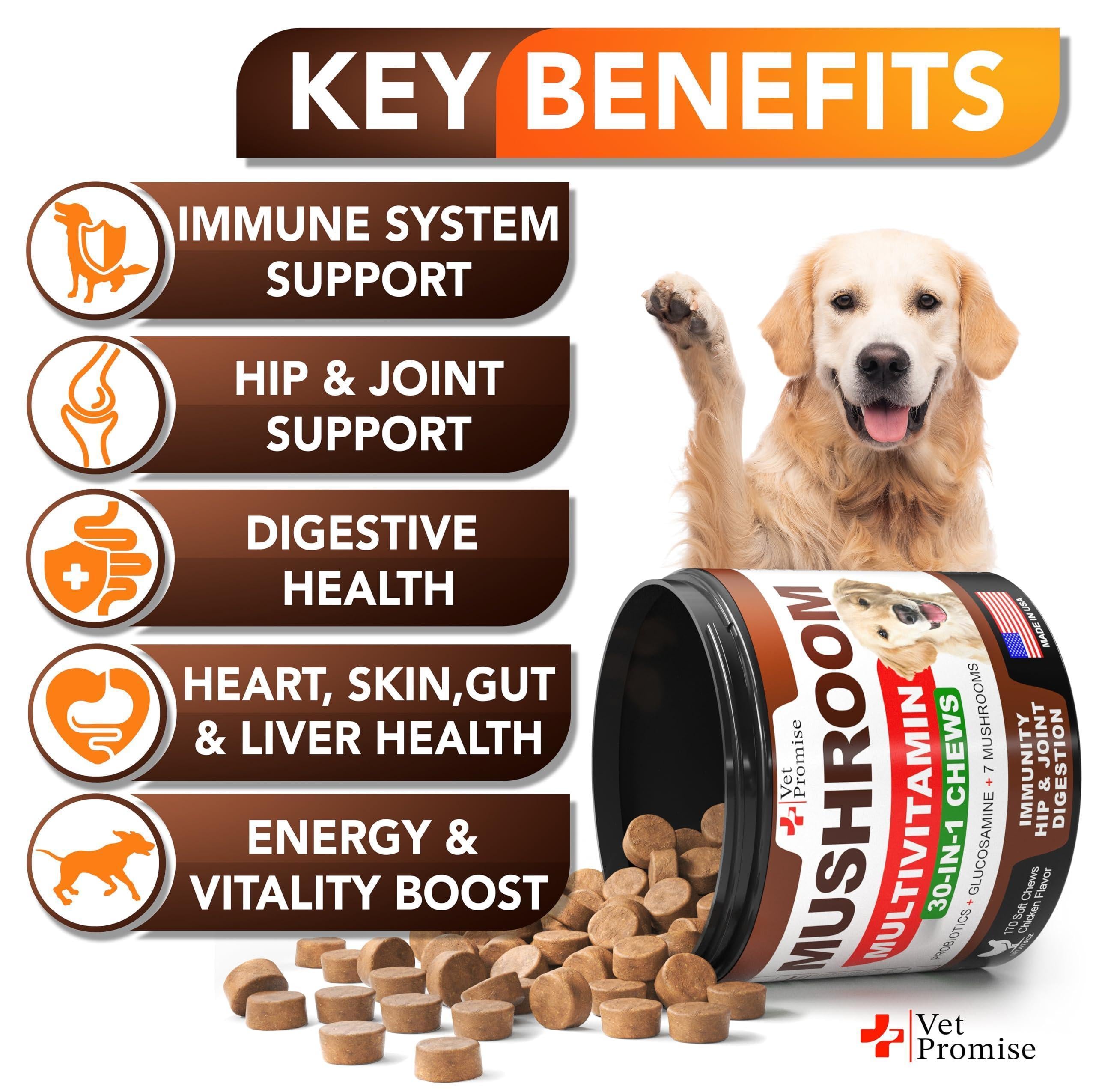 Mushroom Chews for Dogs 340 Count 2-Pack Turkey Tail Lion's Mane & Reishi Mushroom Chews for Dogs 340 Count 2-Pack Turkey Tail Lion's Mane & Reishi