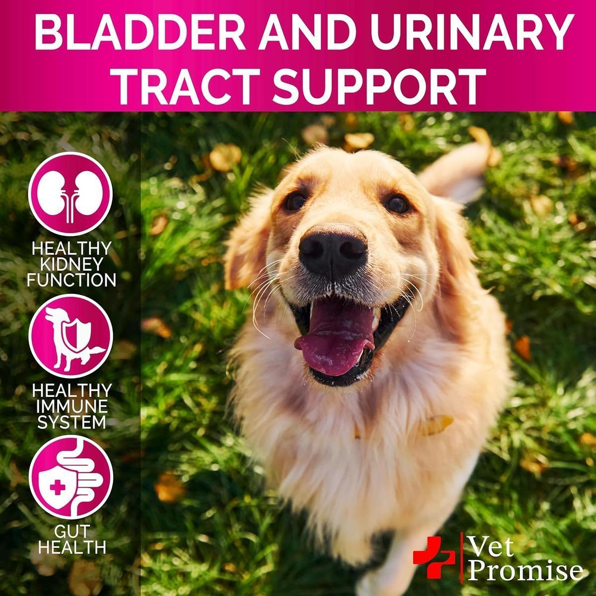 Dog UTI Treatment 120 Chews Cranberry Supplement Bladder Control Dog UTI Treatment 120 Chews Cranberry Supplement Bladder Control