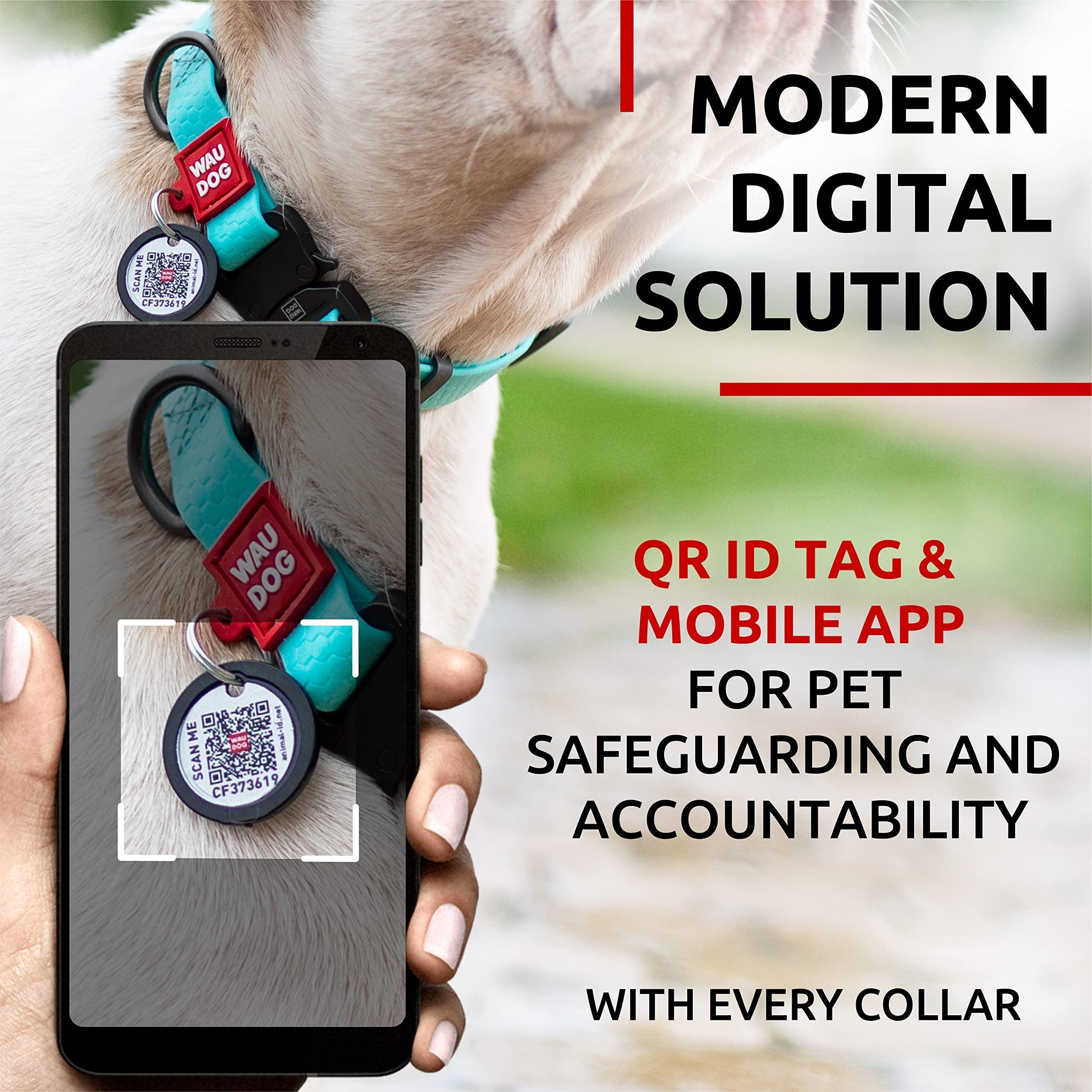Waterproof Glow Dog Collar Adjustable Medium Dogs 10–16 in Neck Waterproof Glow Dog Collar Adjustable Medium Dogs 10–16 in Neck