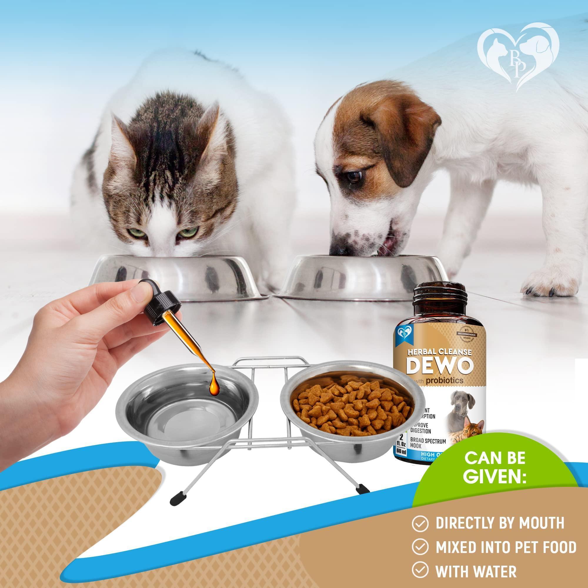 Worm Treatment for Cats & Dogs Liquid Herbal Supplement with Probiotic Worm Treatment for Cats & Dogs Liquid Herbal Supplement with Probiotic