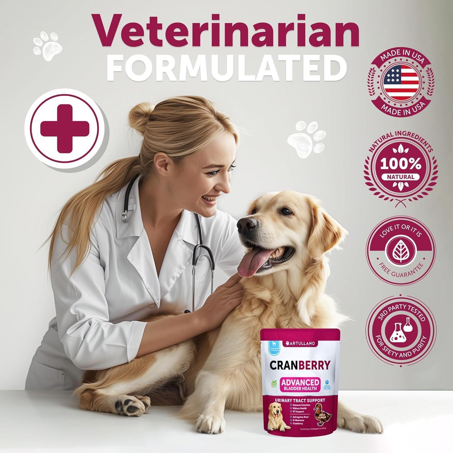 Dog UTI Treatment Cranberry Supplement Bladder Control 70 Soft Chews Dog UTI Treatment Cranberry Supplement Bladder Control 70 Soft Chews