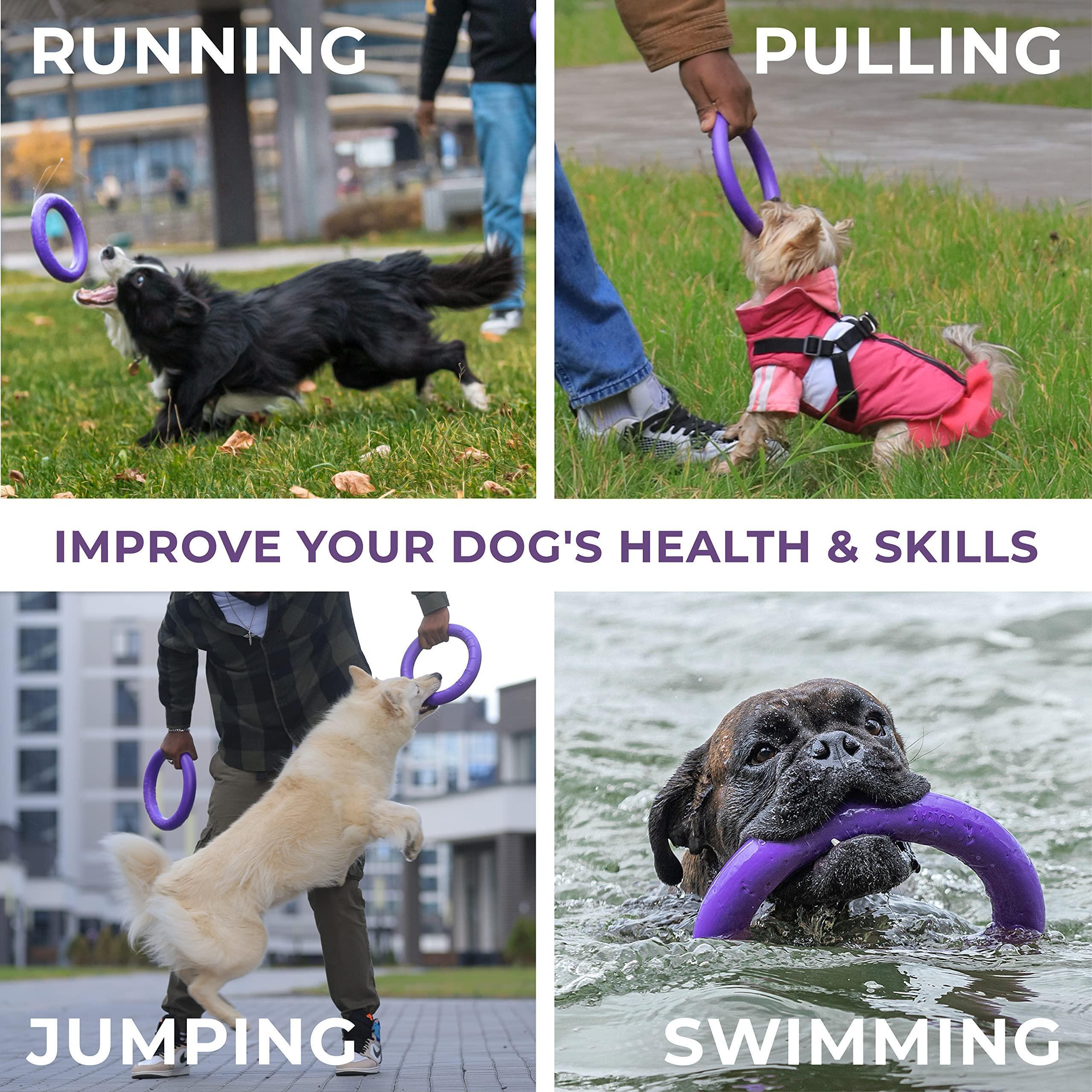 Dog Ring Fetch Toy Small Dogs Mini Size 2 Rings Purple Dog Ring Fetch Toy Small Dogs Mini Size 2 Rings Purple