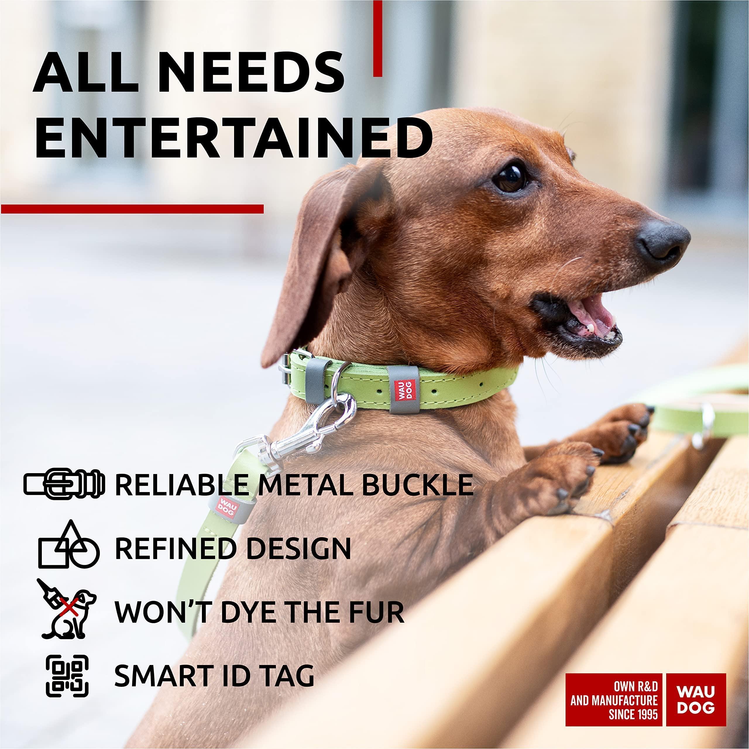 Leather Dog Collar Adjustable All Sizes Buckle D-Ring & QR Tag Leather Dog Collar Adjustable All Sizes Buckle D-Ring & QR Tag