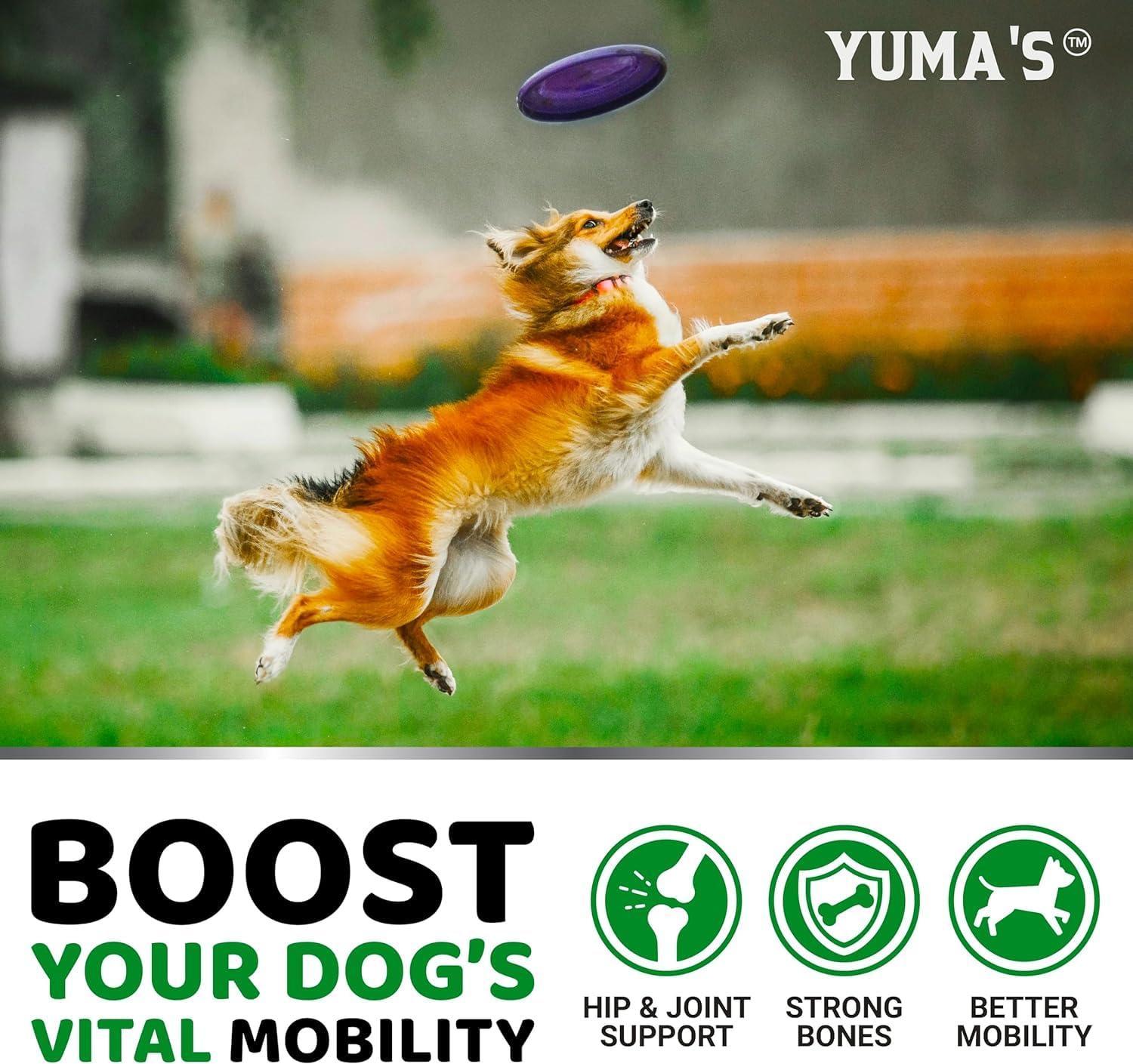 Glucosamine for Dogs 2-Pack Chondroitin Joint Pain Relief Glucosamine for Dogs 2-Pack Chondroitin Joint Pain Relief