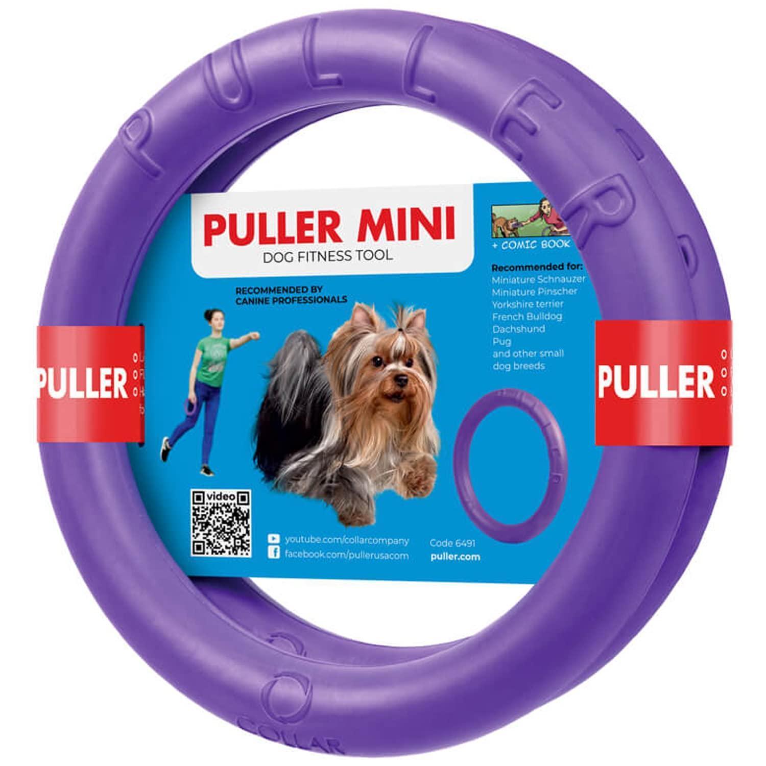 Dog Ring Fetch Toy Small Dogs Mini Size 2 Rings Purple Dog Ring Fetch Toy Small Dogs Mini Size 2 Rings Purple