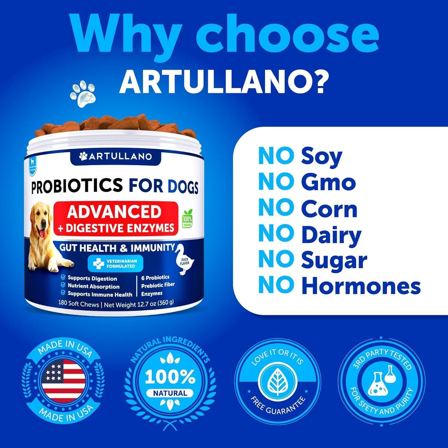 Probiotics for Dogs Gut Health Itchy Skin & Immune Support Probiotics for Dogs Gut Health Itchy Skin & Immune Support