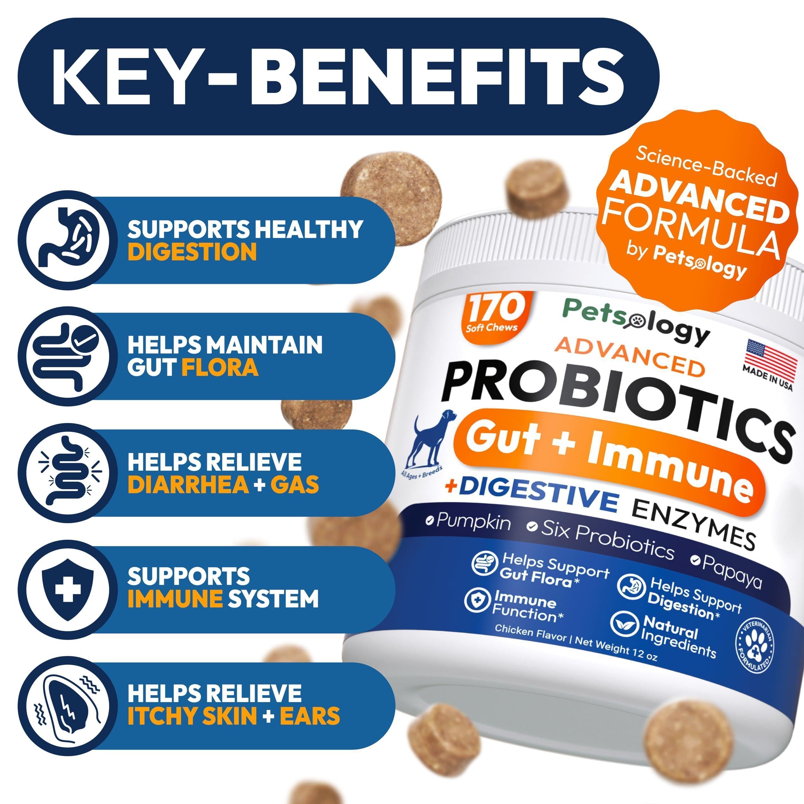 Probiotics for Dogs 170 Chews Digestive Enzymes & Prebiotics Gut Health Probiotics for Dogs 170 Chews Digestive Enzymes & Prebiotics Gut Health