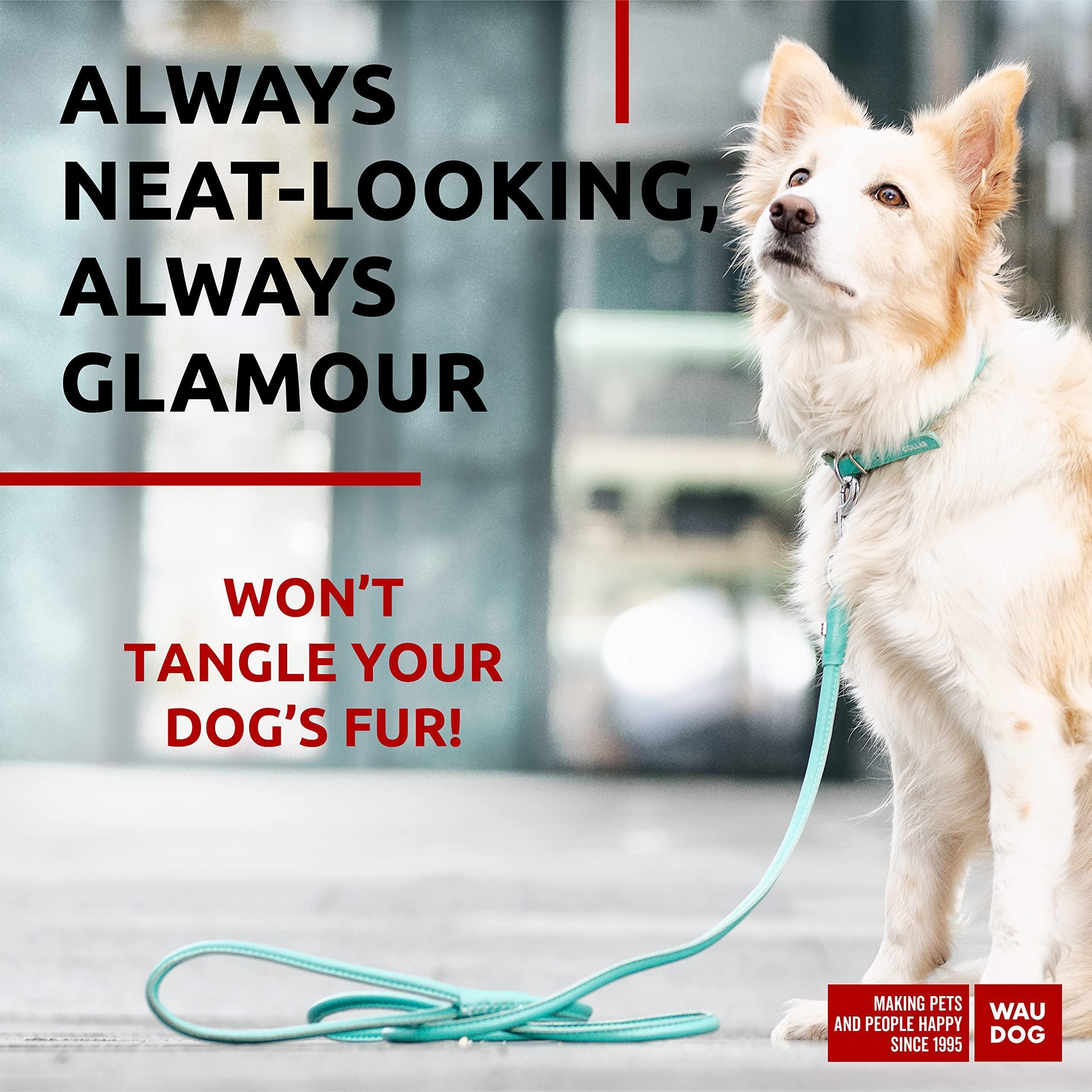 Rolled Leather Dog Leash 4 ft x 0.4 in All Sizes Mint Rolled Leather Dog Leash 4 ft x 0.4 in All Sizes Mint