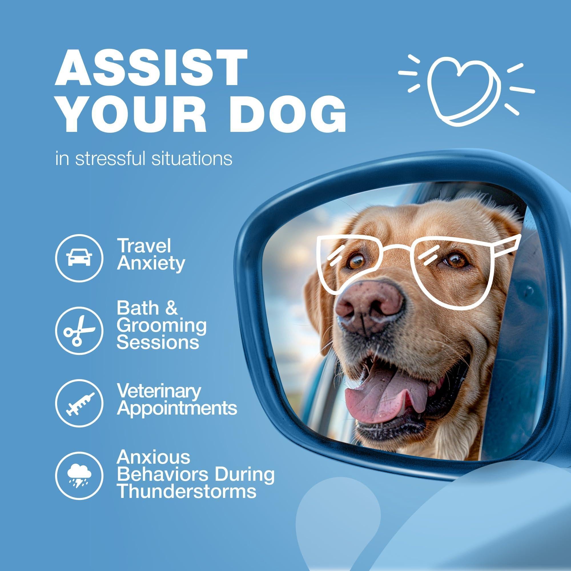 Hemp Calming Chews for Dogs Anxiety Relief L-Theanine & Chamomile Hemp Calming Chews for Dogs Anxiety Relief L-Theanine & Chamomile