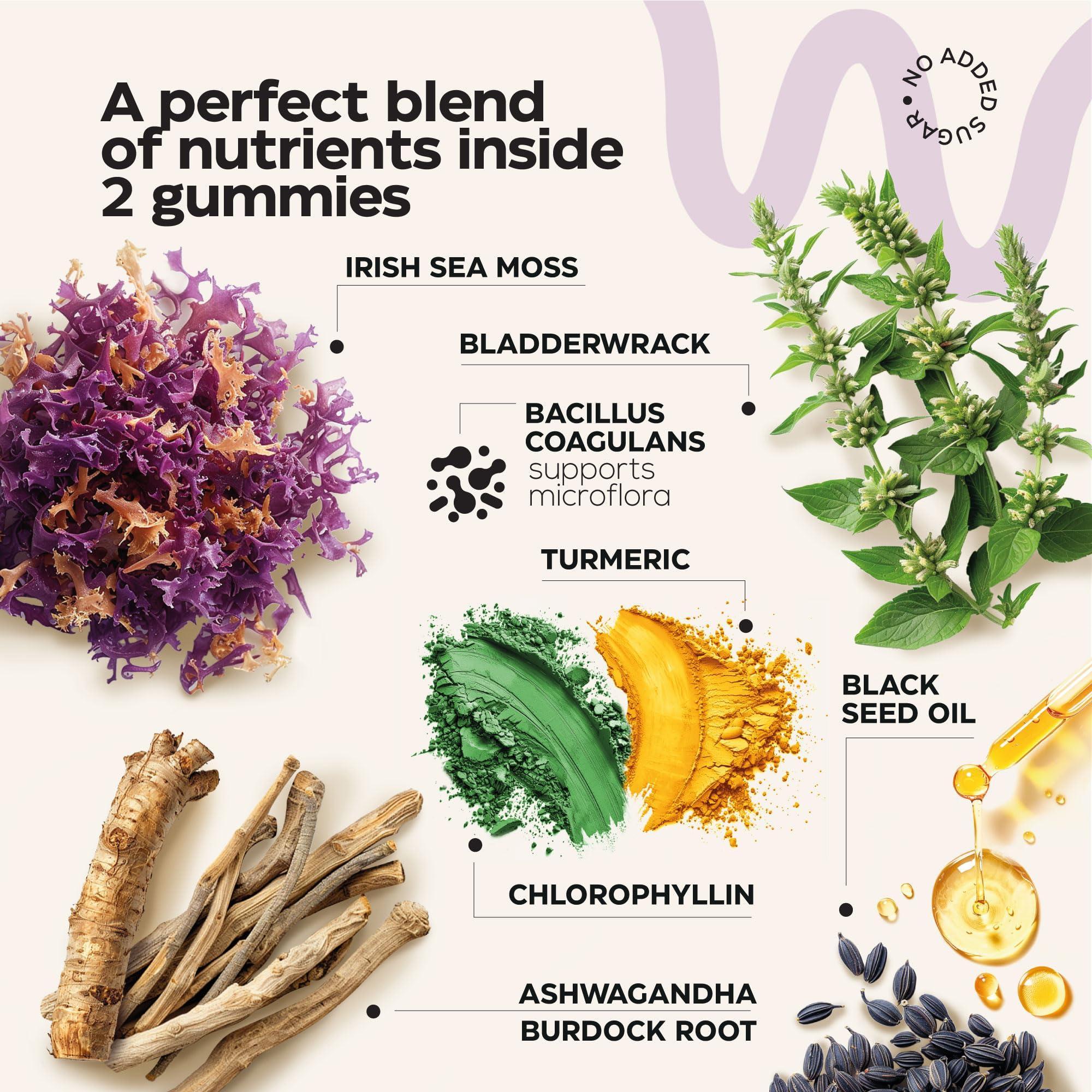 Multimineral Sea Moss Glow Gummies 3000 Mg Irish Seamoss for Immunity Thyroid Multimineral Sea Moss Glow Gummies 3000 Mg Irish Seamoss for Immunity Thyroid