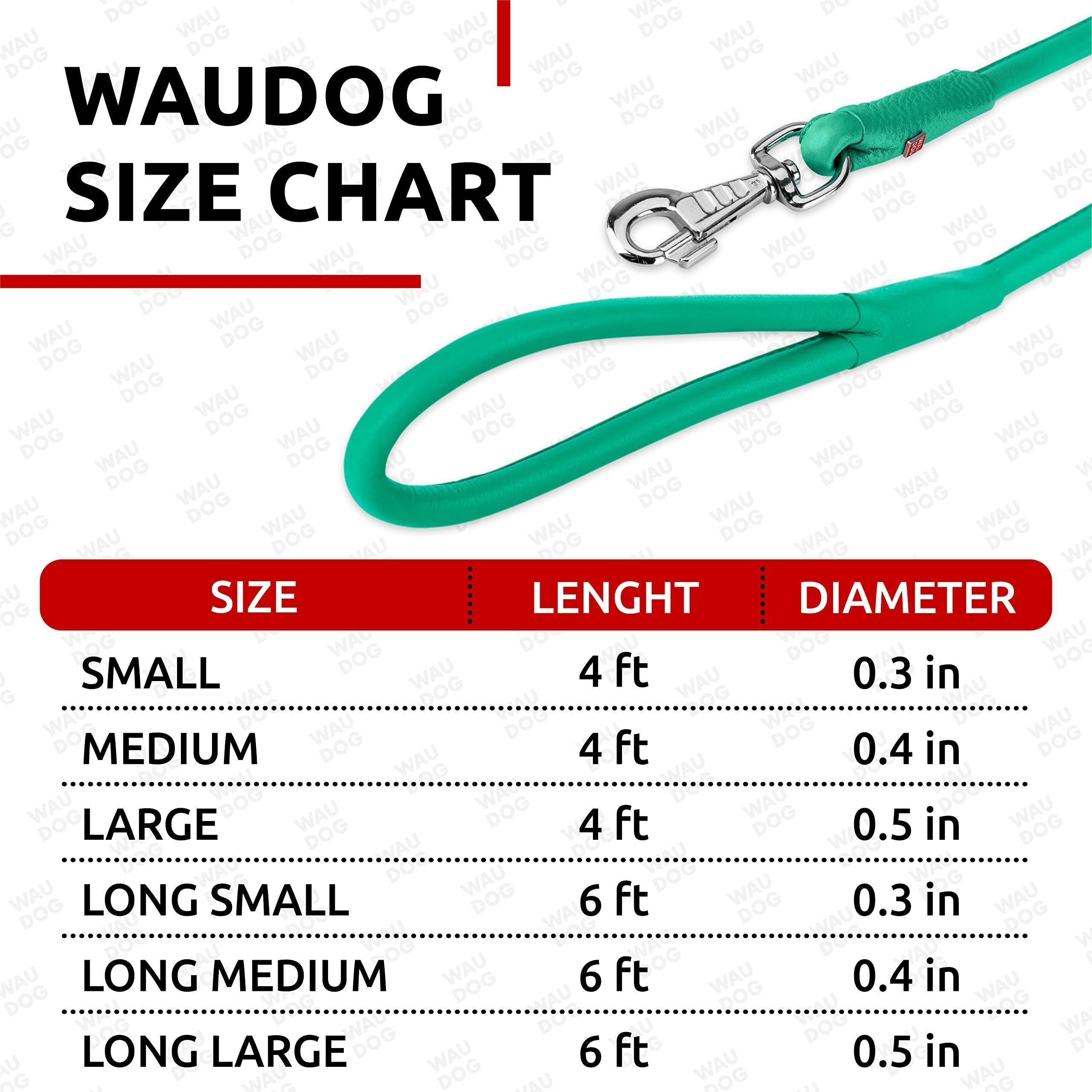 Rolled Leather Dog Leash 4 ft x 0.4 in All Sizes Mint Rolled Leather Dog Leash 4 ft x 0.4 in All Sizes Mint