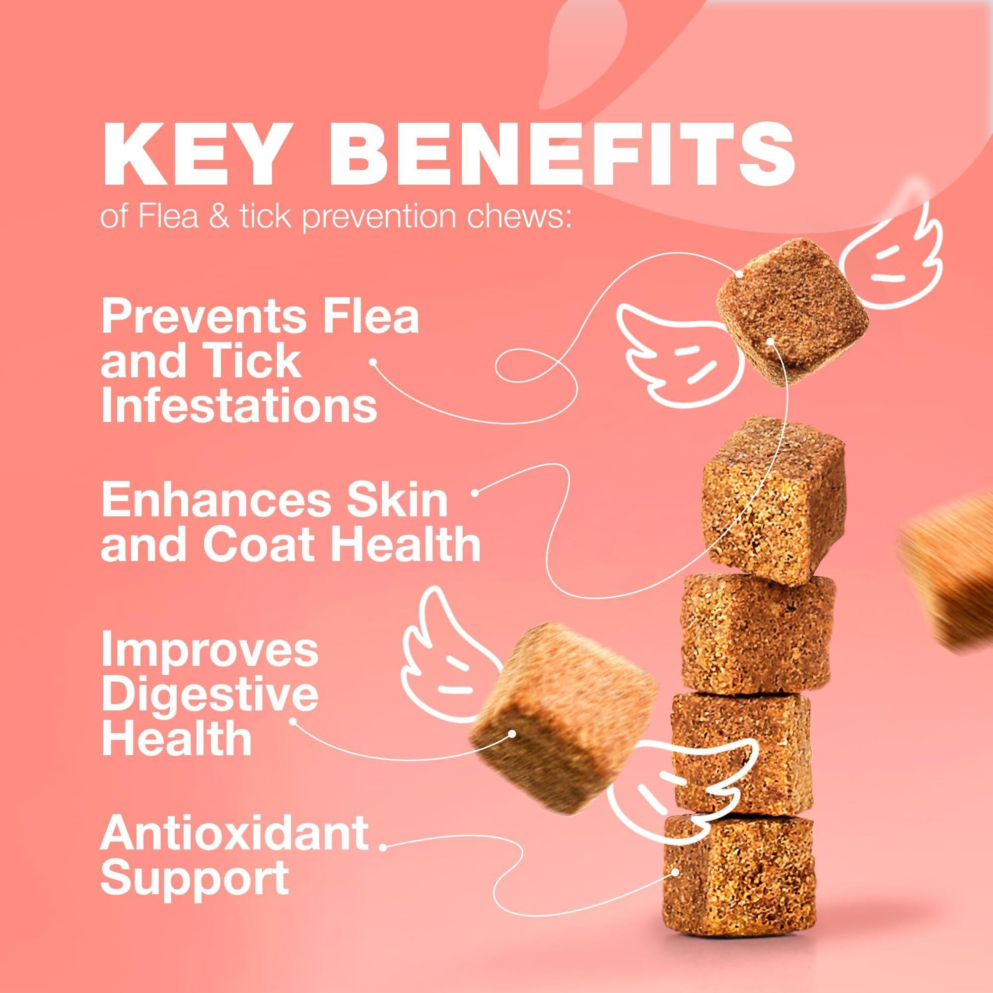 Cat Insects Treatment Chews Daily Oral Chewable Cat Insects Treatment Chews Daily Oral Chewable