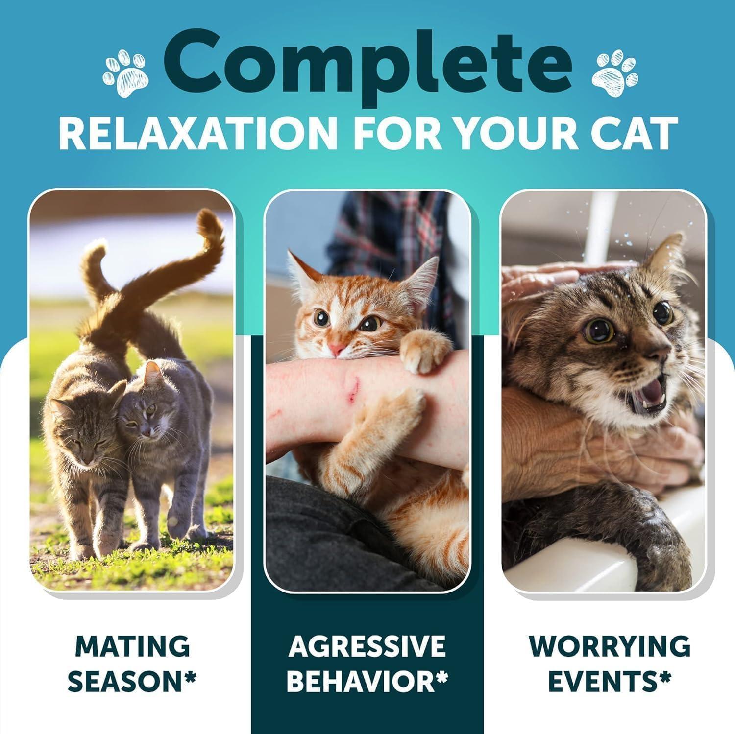 Hemp Calming Treats for Cats & Kittens Anxiety Relief Melatonin Hemp Calming Treats for Cats & Kittens Anxiety Relief Melatonin