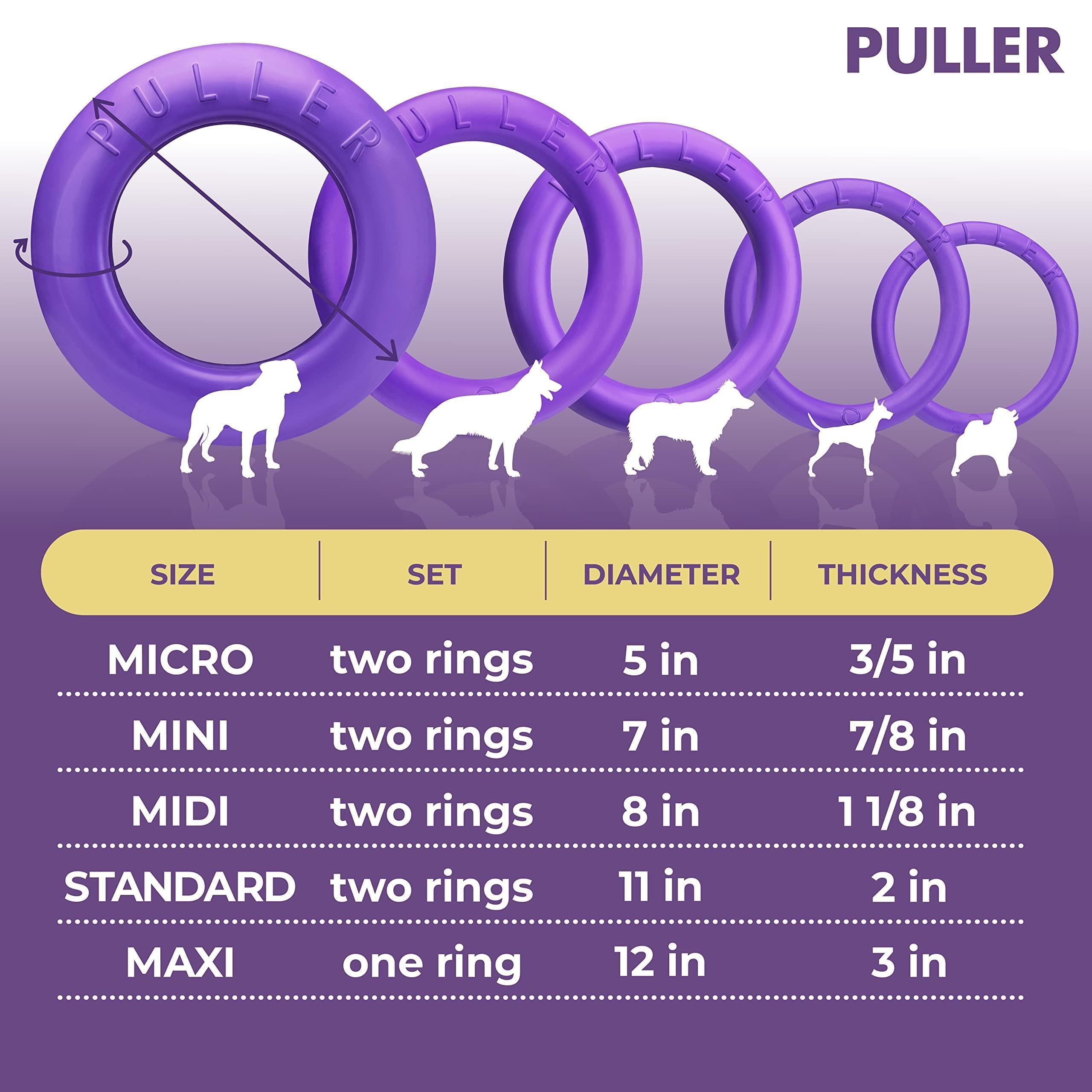 Dog Ring Fetch Toy Small Dogs Mini Size 2 Rings Purple Dog Ring Fetch Toy Small Dogs Mini Size 2 Rings Purple