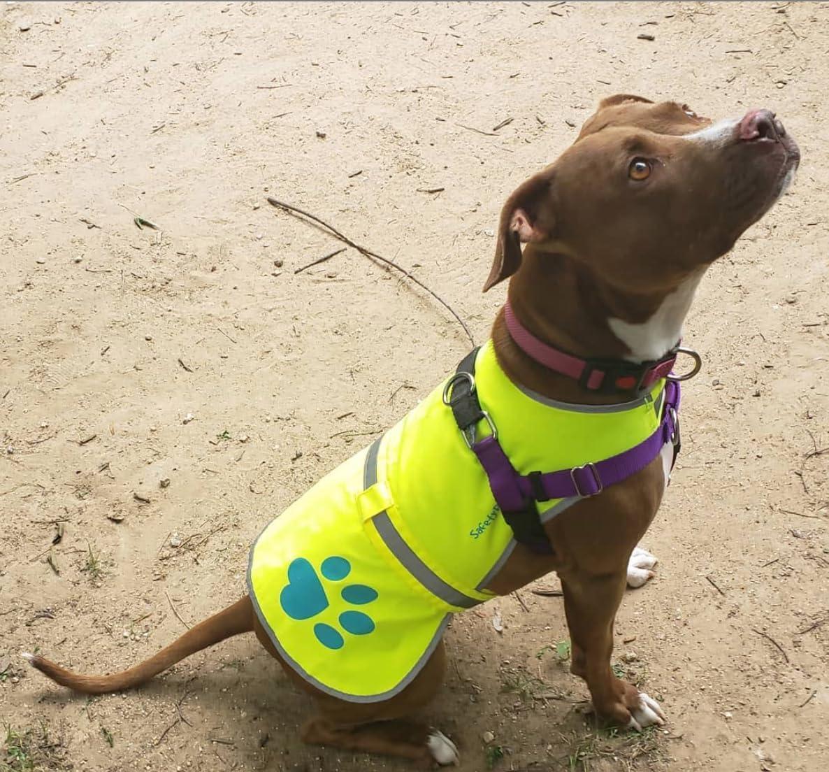 Reflective Dog Vest Hi-Vis L Size Yellow Reflective Dog Vest Hi-Vis L Size Yellow