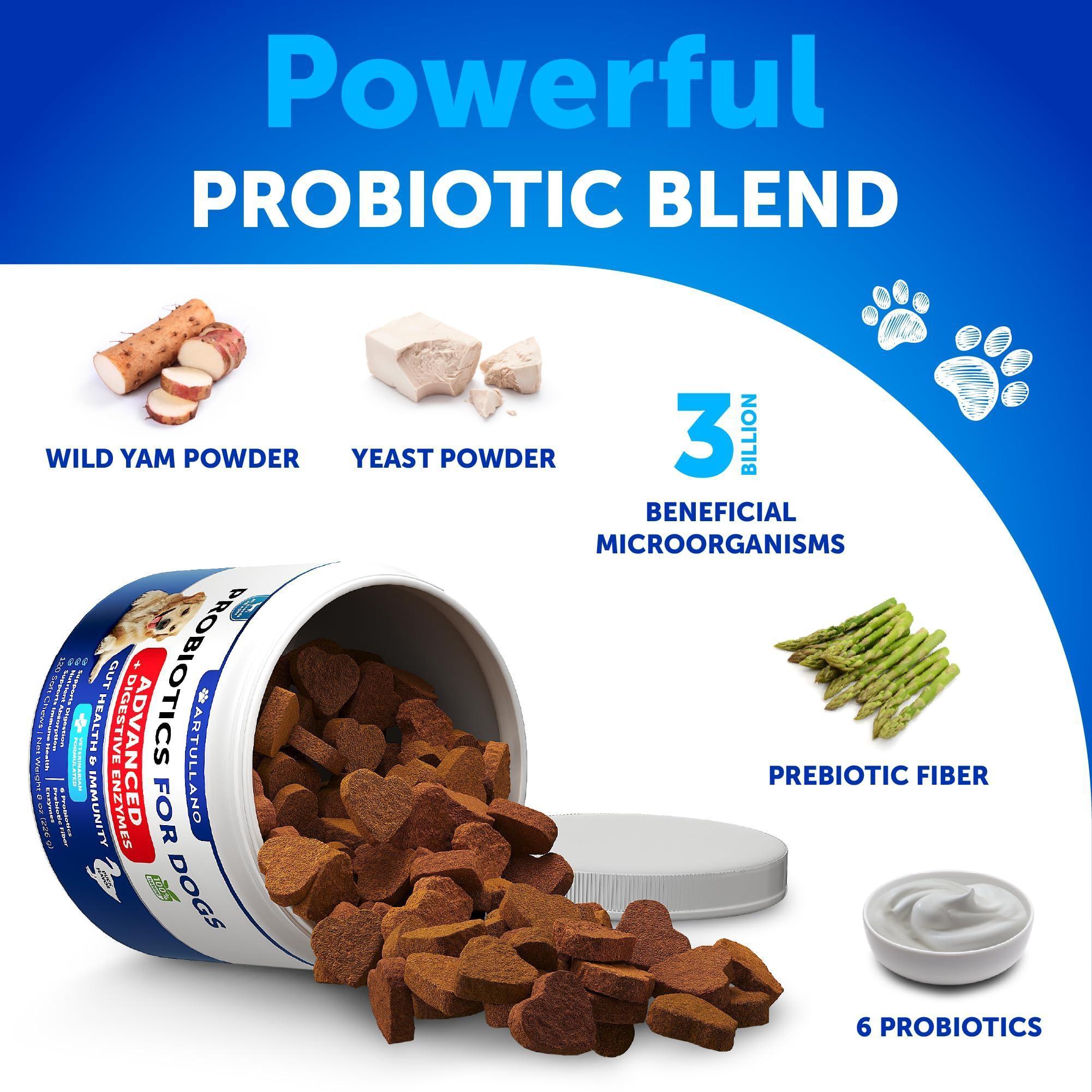 Probiotics for Dogs 240 Count 2-Pack Digestive Enzymes & Prebiotics Gut Health Probiotics for Dogs 240 Count 2-Pack Digestive Enzymes & Prebiotics Gut Health
