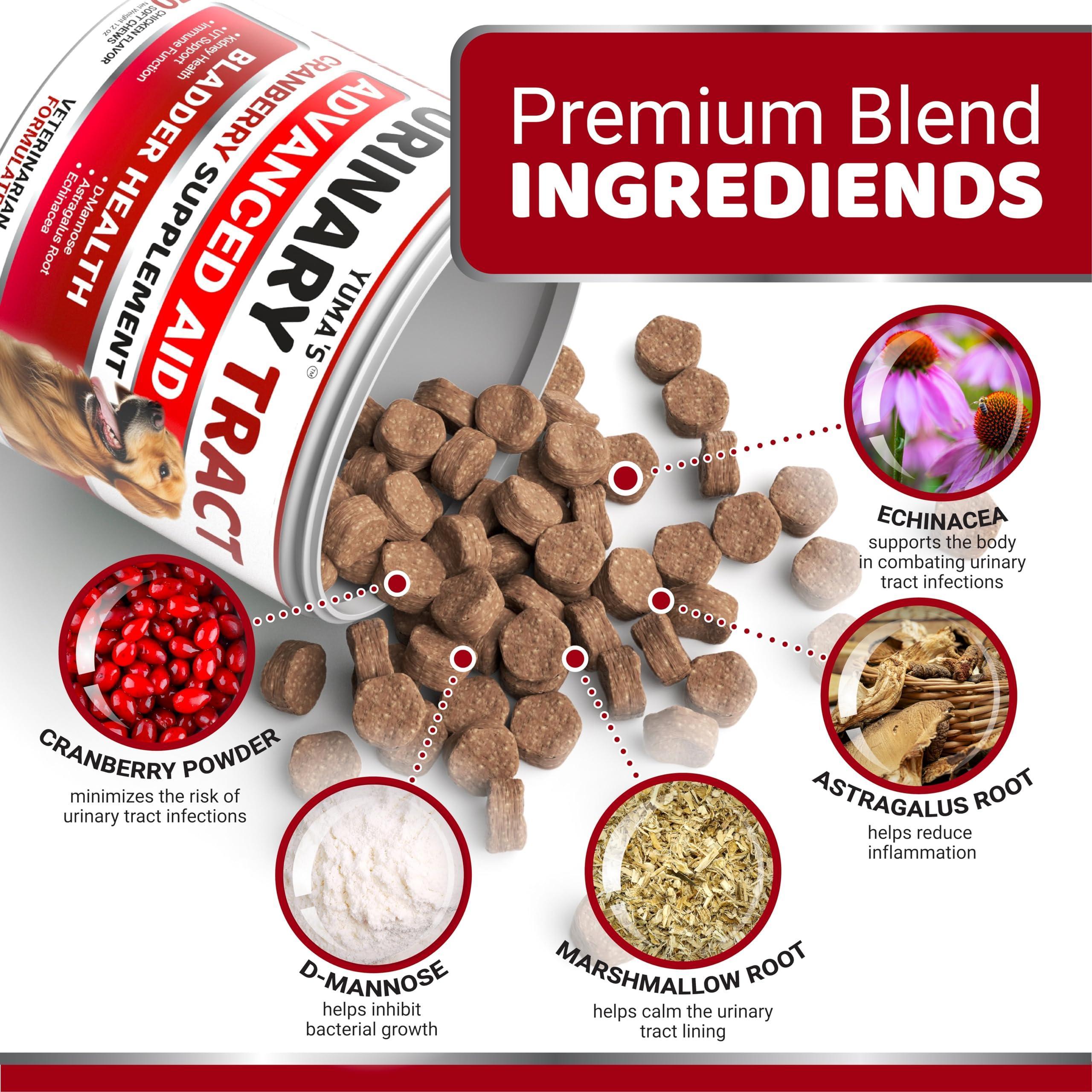 Dog UTI Treatment 170 Count Cranberry Supplement Bladder Control Dog UTI Treatment 170 Count Cranberry Supplement Bladder Control