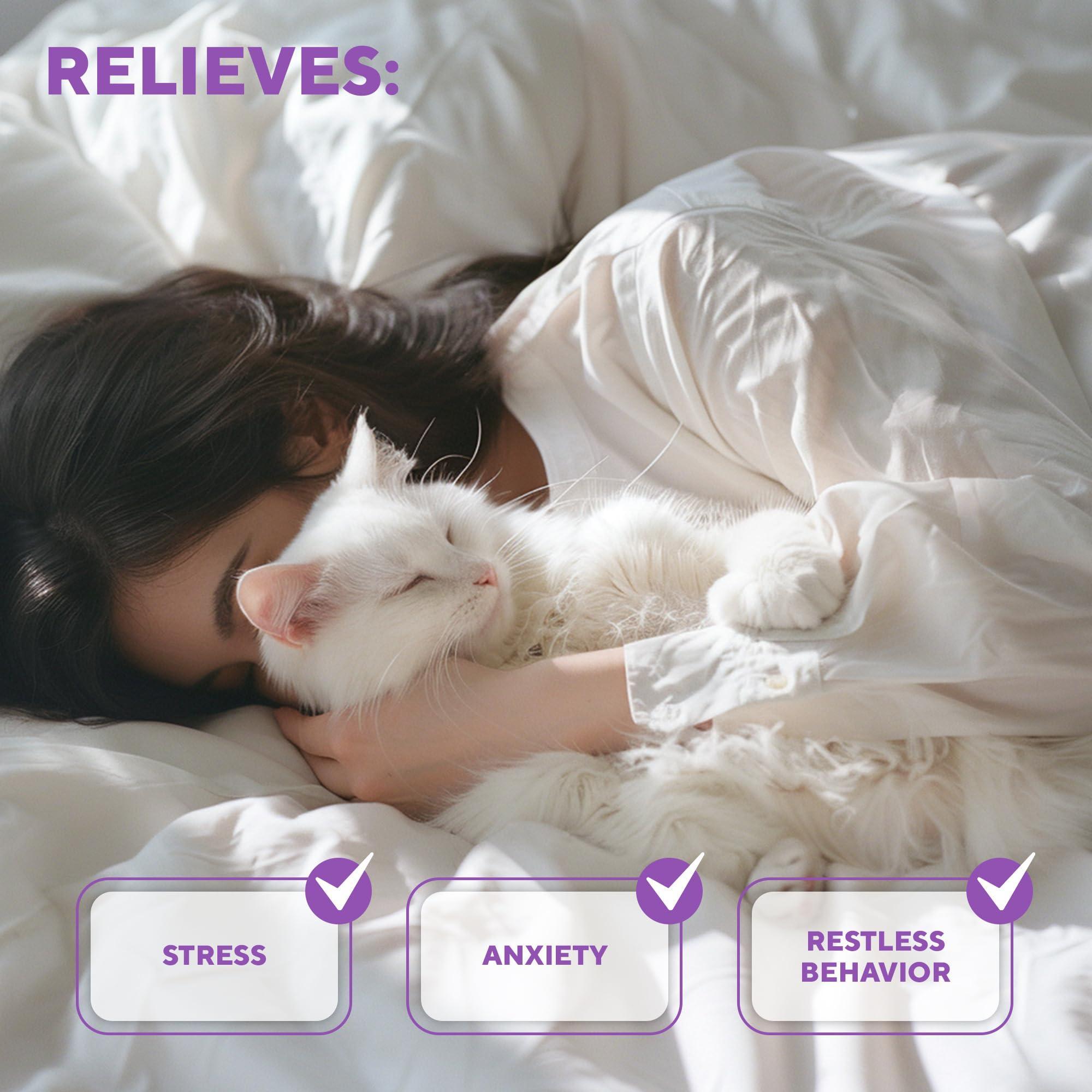 Cat Calming Pheromone Diffuser Anti-Anxiety for Cats & Dogs Cat Calming Pheromone Diffuser Anti-Anxiety for Cats & Dogs