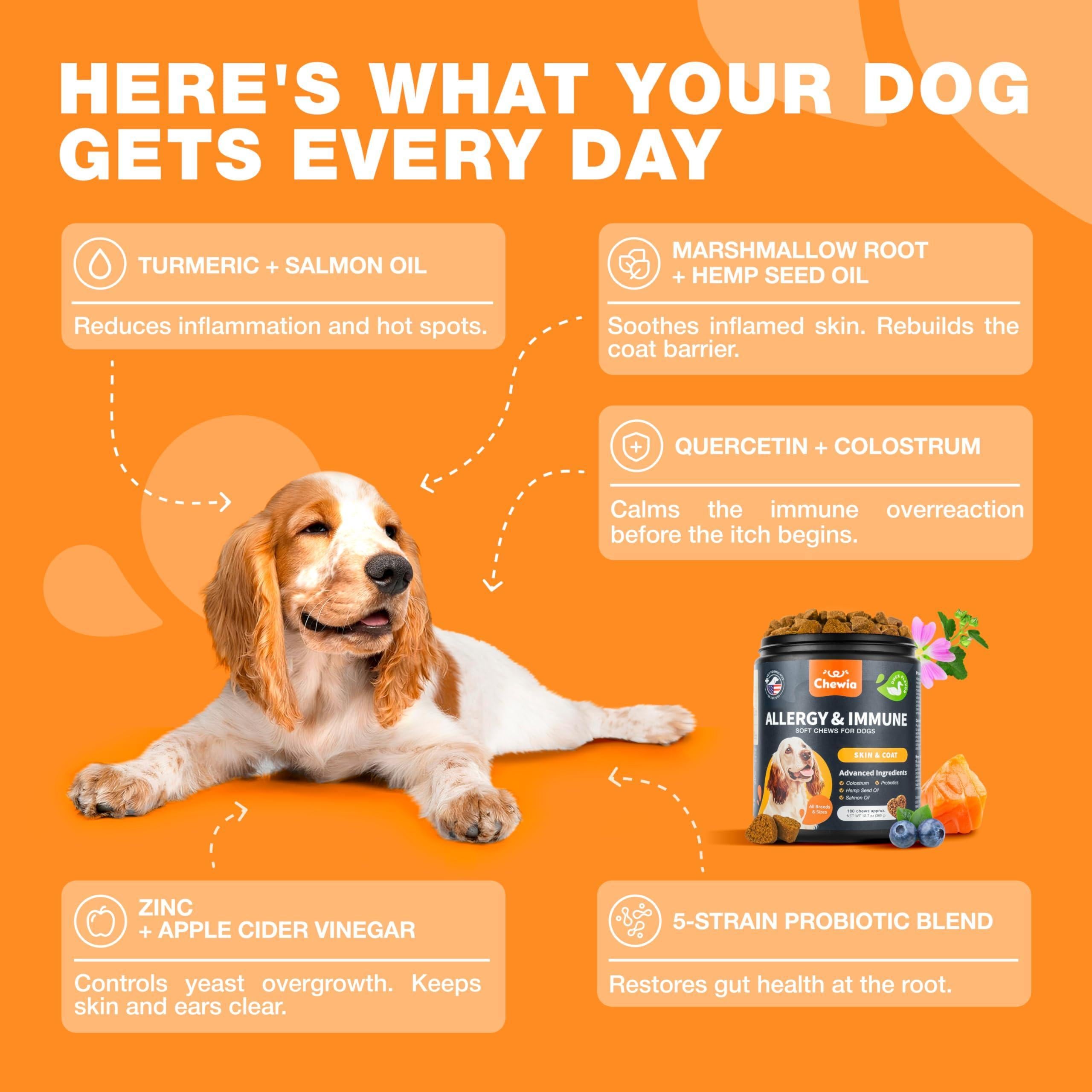 Dog Allergy Relief Chews Itch Relief for Dogs 180 Allergy Chews for Itching Skin with Probiotics, Colostrum, Salmon Oil Allergy, Skin and Coat, Immune, Digestion Support Supplement Hot Spots Dog Allergy Relief Chews Itch Relief for Dogs 180 Allergy Chews for Itching Skin with Probiotics, Colostrum, Salmon Oil Allergy, Skin and Coat, Immune, Digestion Support Supplement Hot Spots