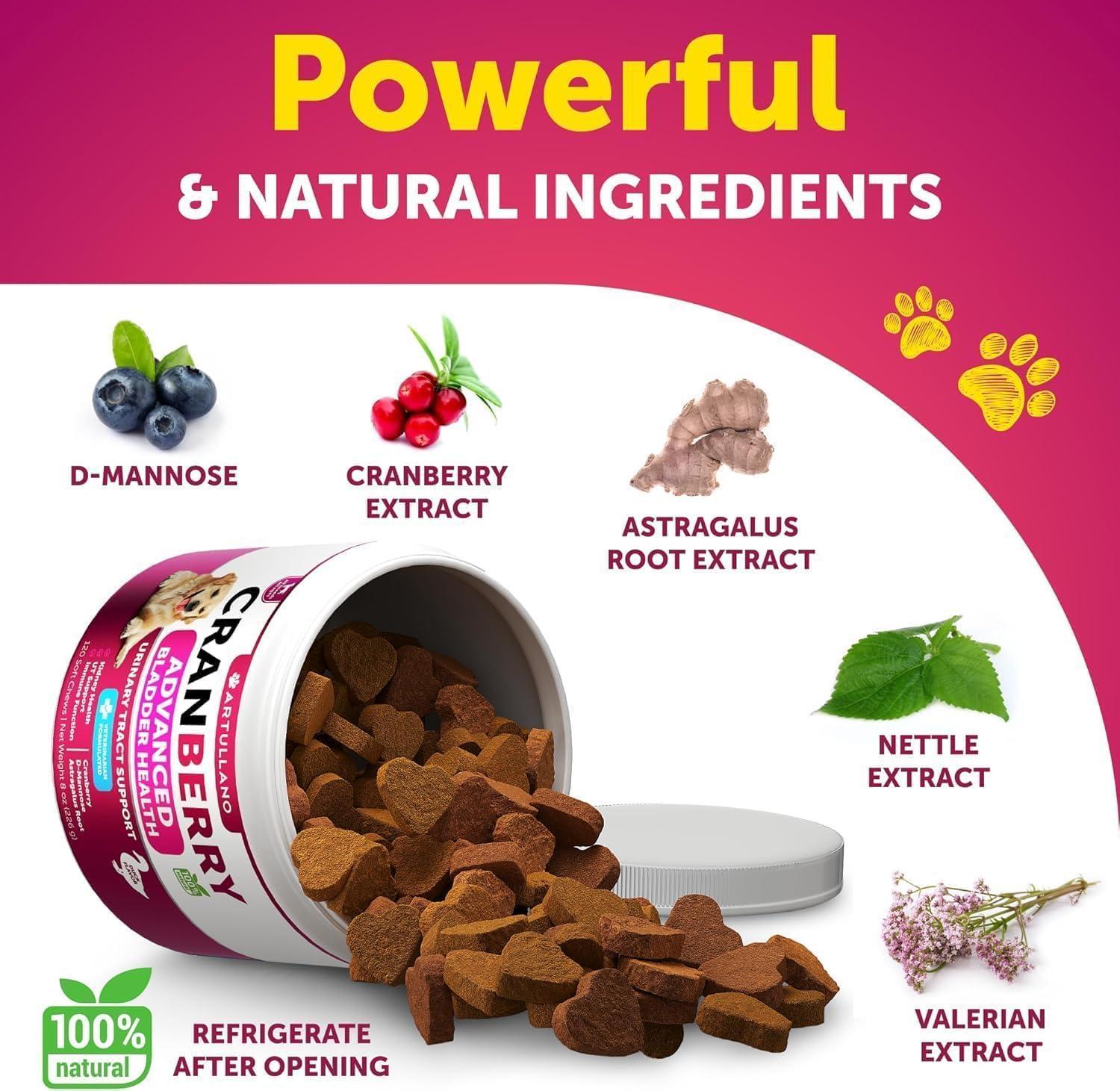 Dog UTI Treatment 240 Chews 2-Pack Cranberry Bladder & Kidney Support Dog UTI Treatment 240 Chews 2-Pack Cranberry Bladder & Kidney Support